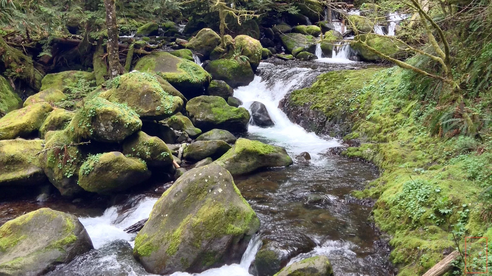 OR: Wahkeena Falls to Multnomah Falls