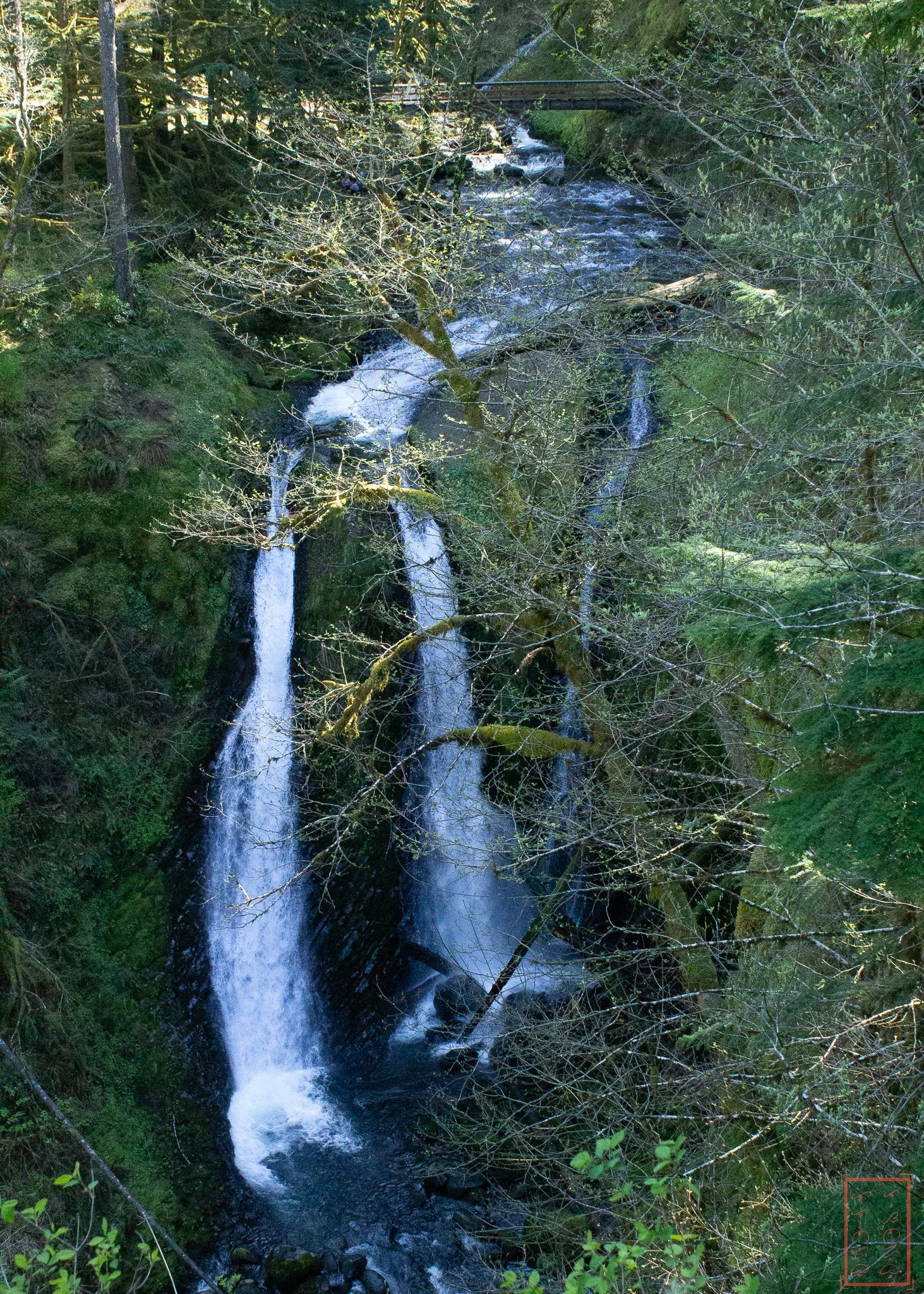 OR: Oneonta Gorge
