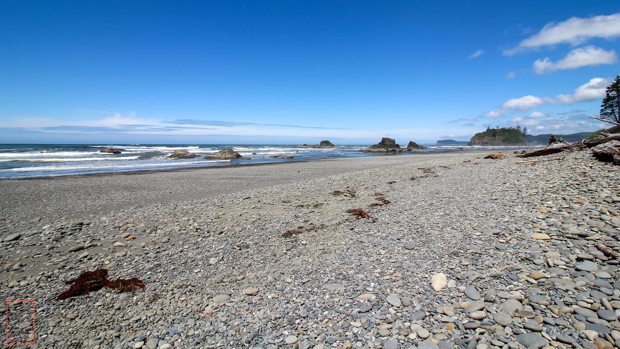 WA: Ruby Beach