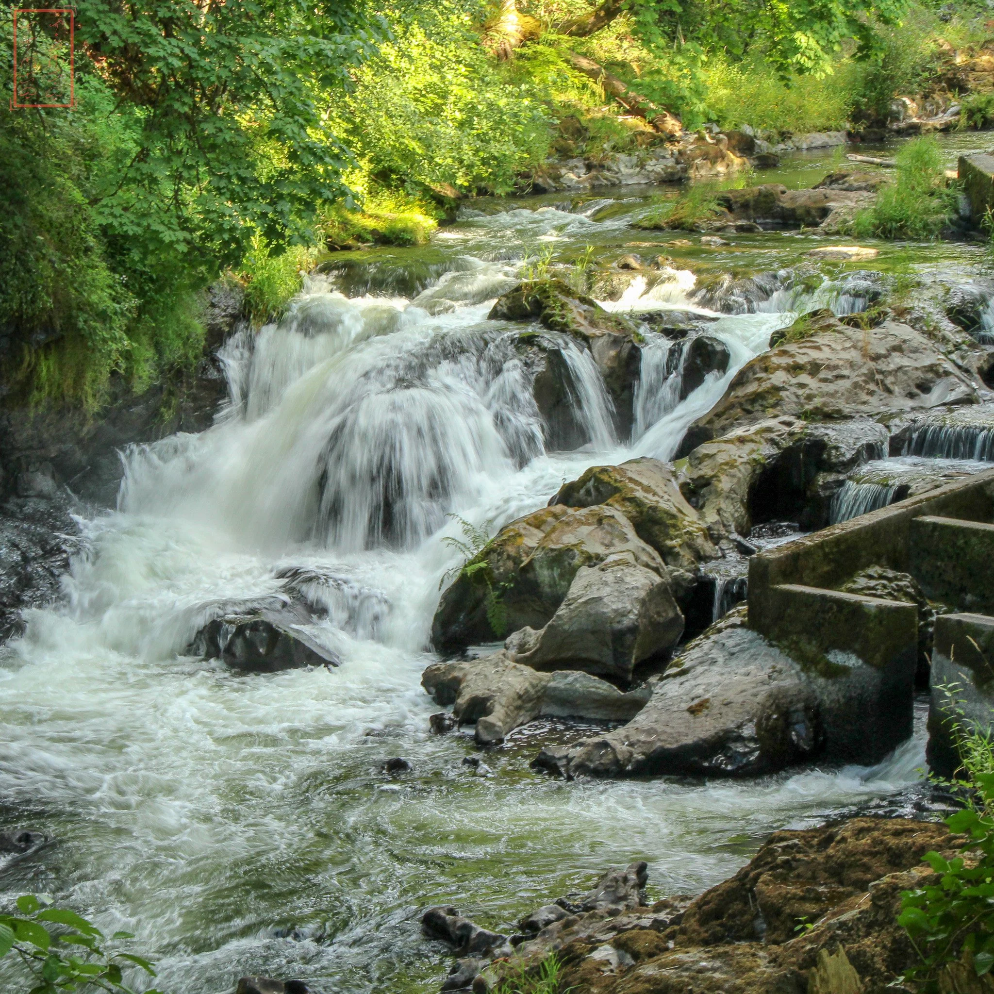 WA: Tumwater Falls