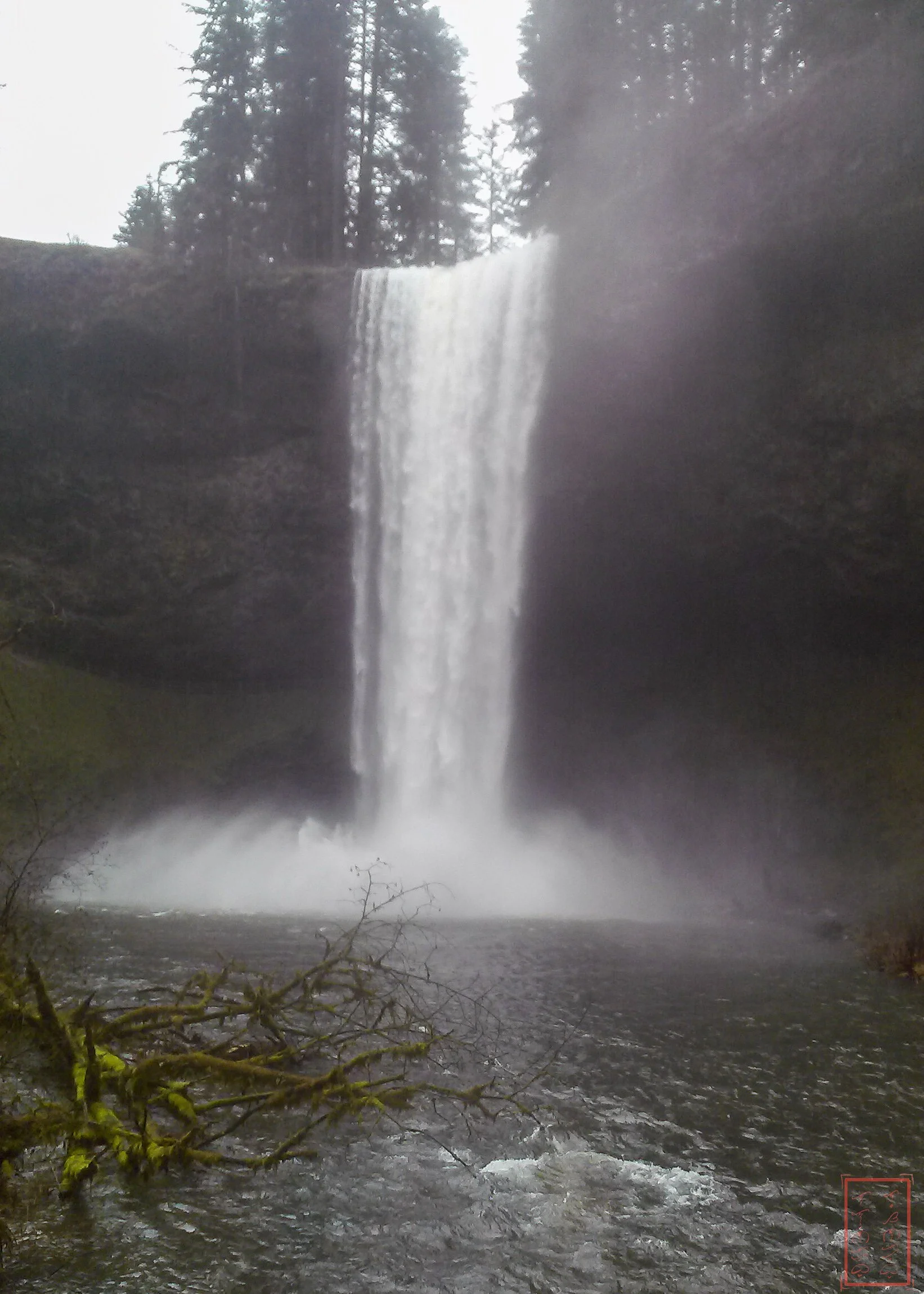OR: Silver Falls