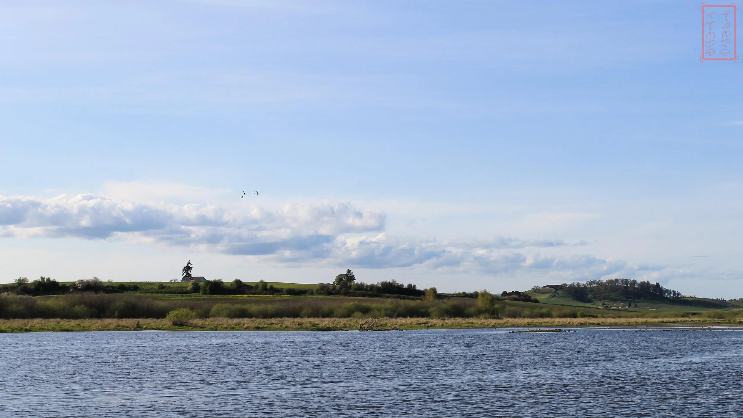 OR: Baskett Slough