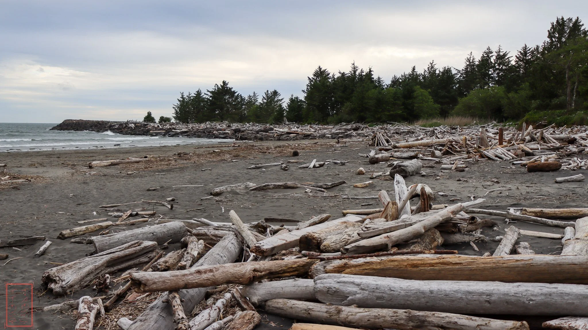 WA: Cape Disappointment