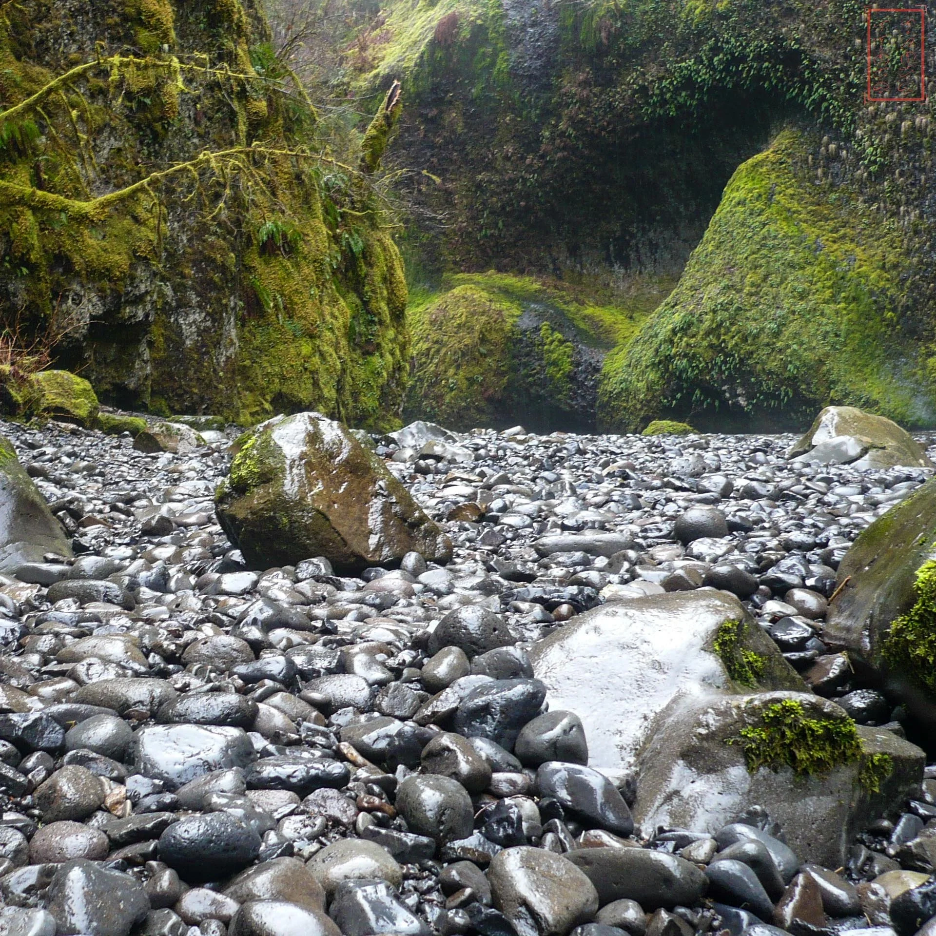 OR: Eagle Creek