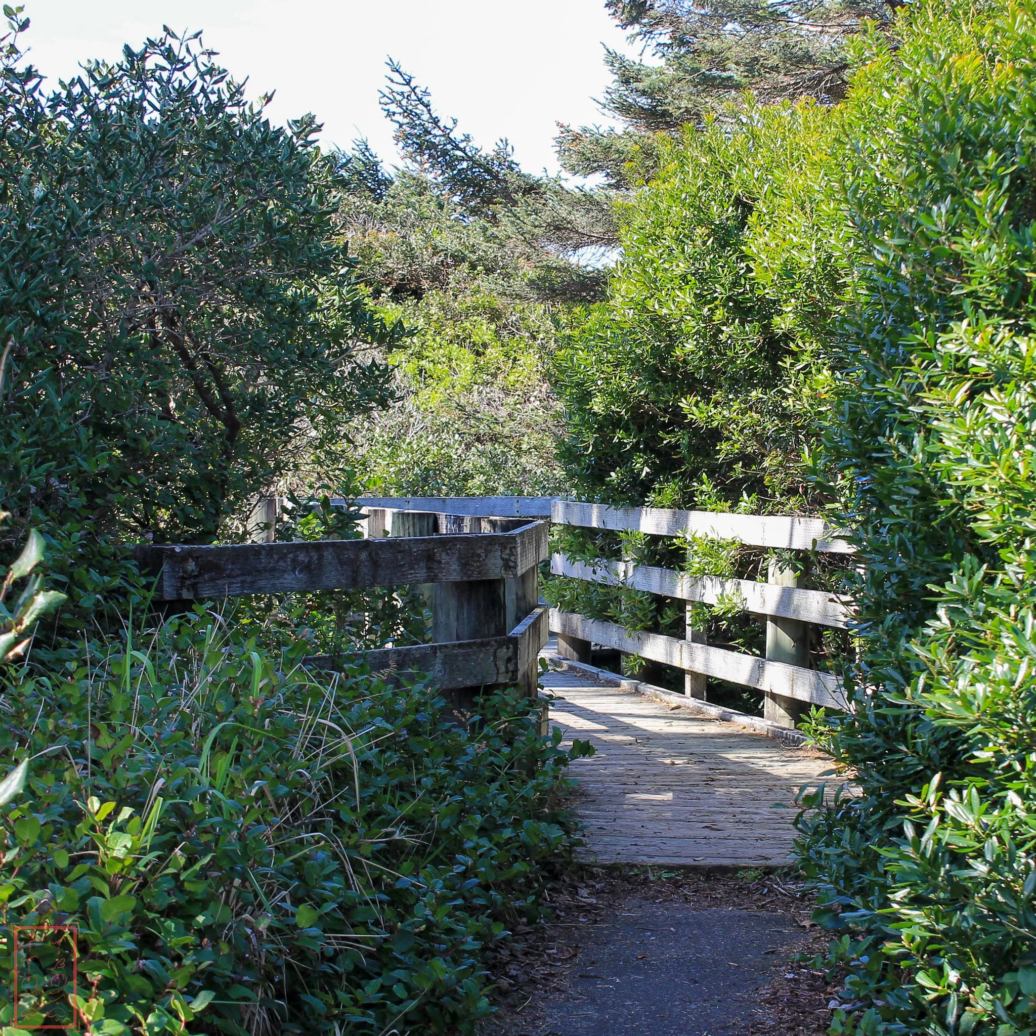 OR: Sutton Creek