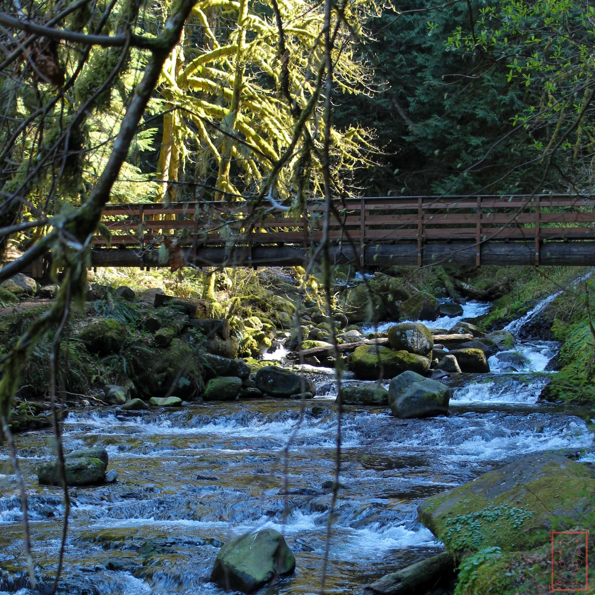 OR: Oneonta Gorge