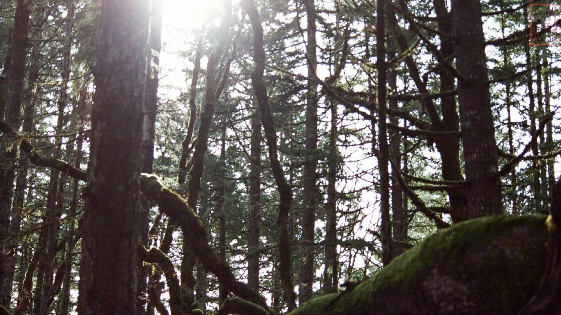 OR: Chip Ross Park and Dimple Hill