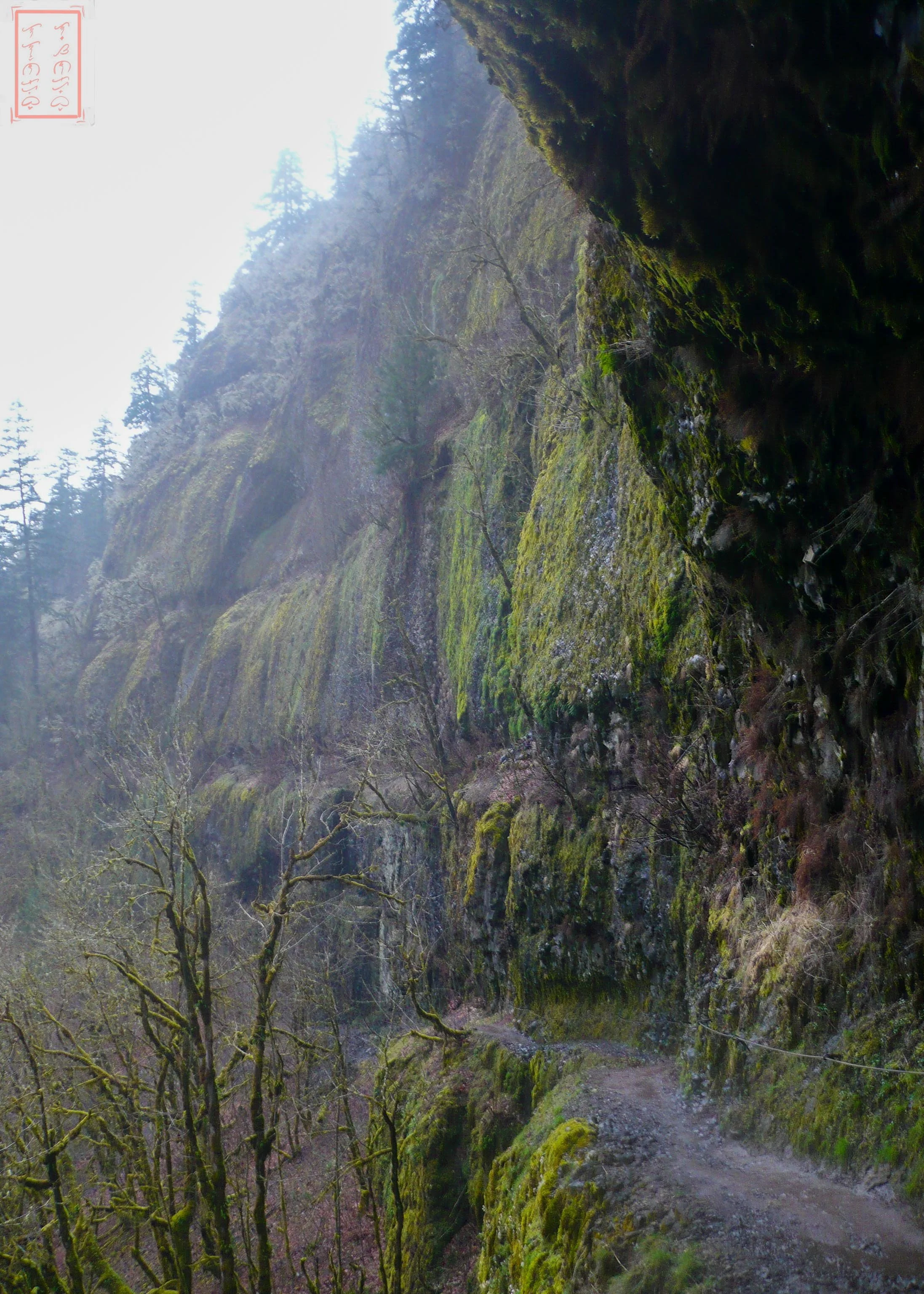 OR: Eagle Creek