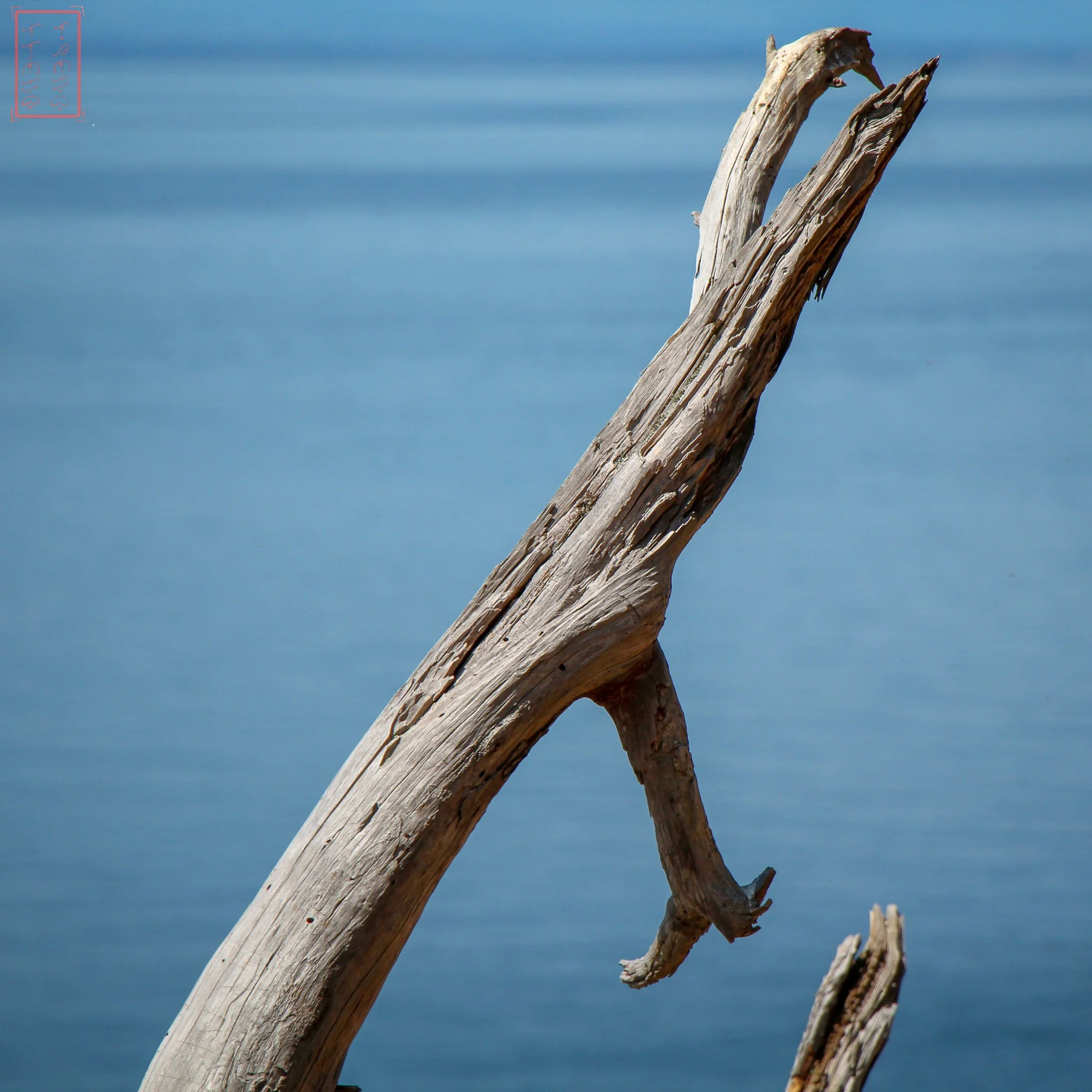 WA: Ebey's Landing