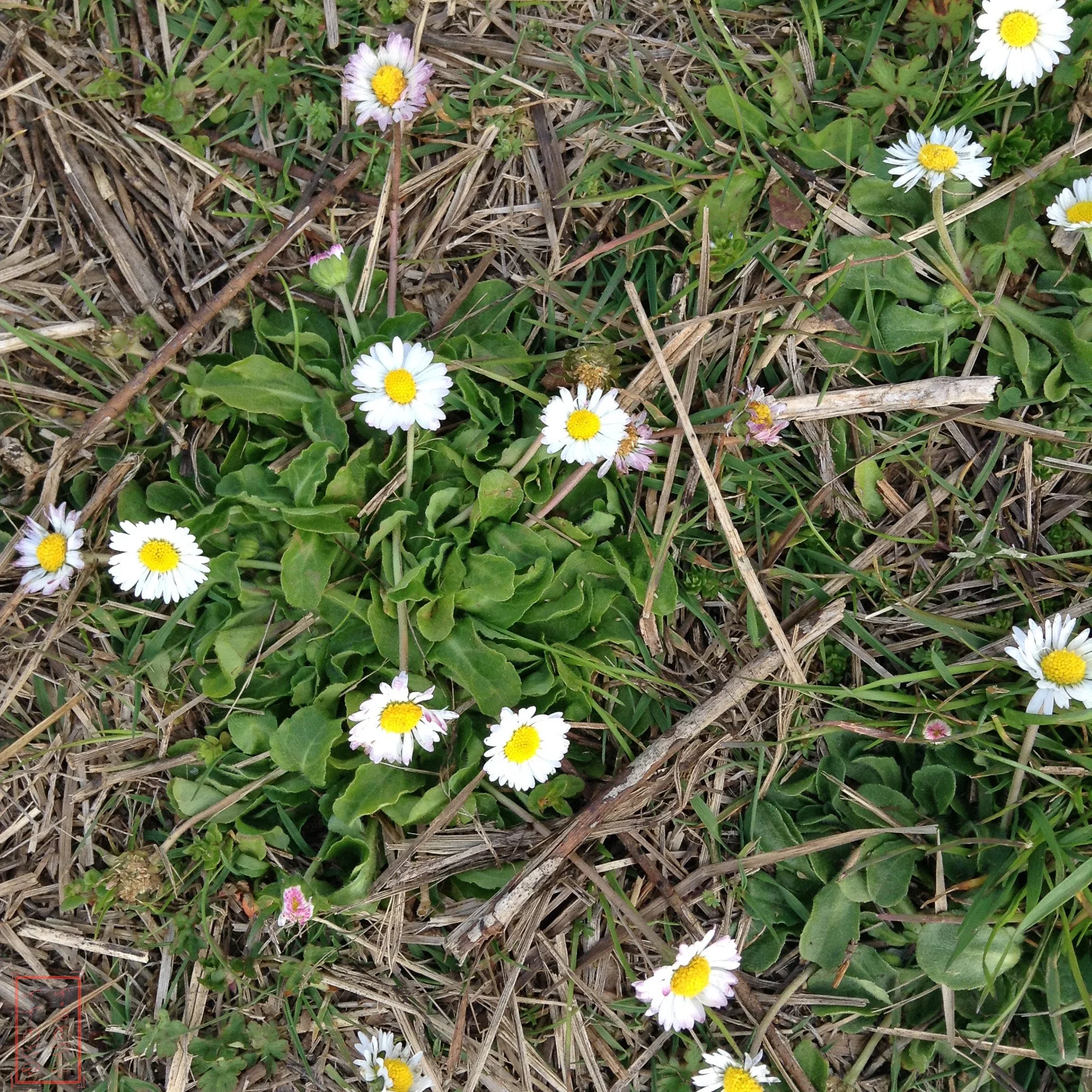 OR: William L. Finley National Wildlife Refuge