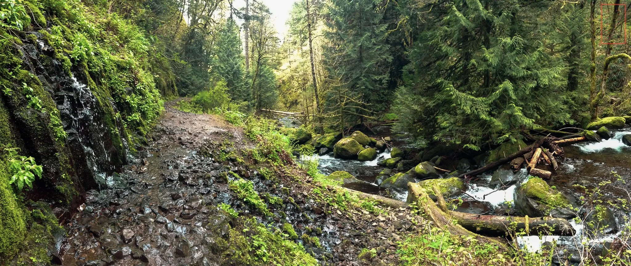 OR: Wahkeena Falls to Multnomah Falls