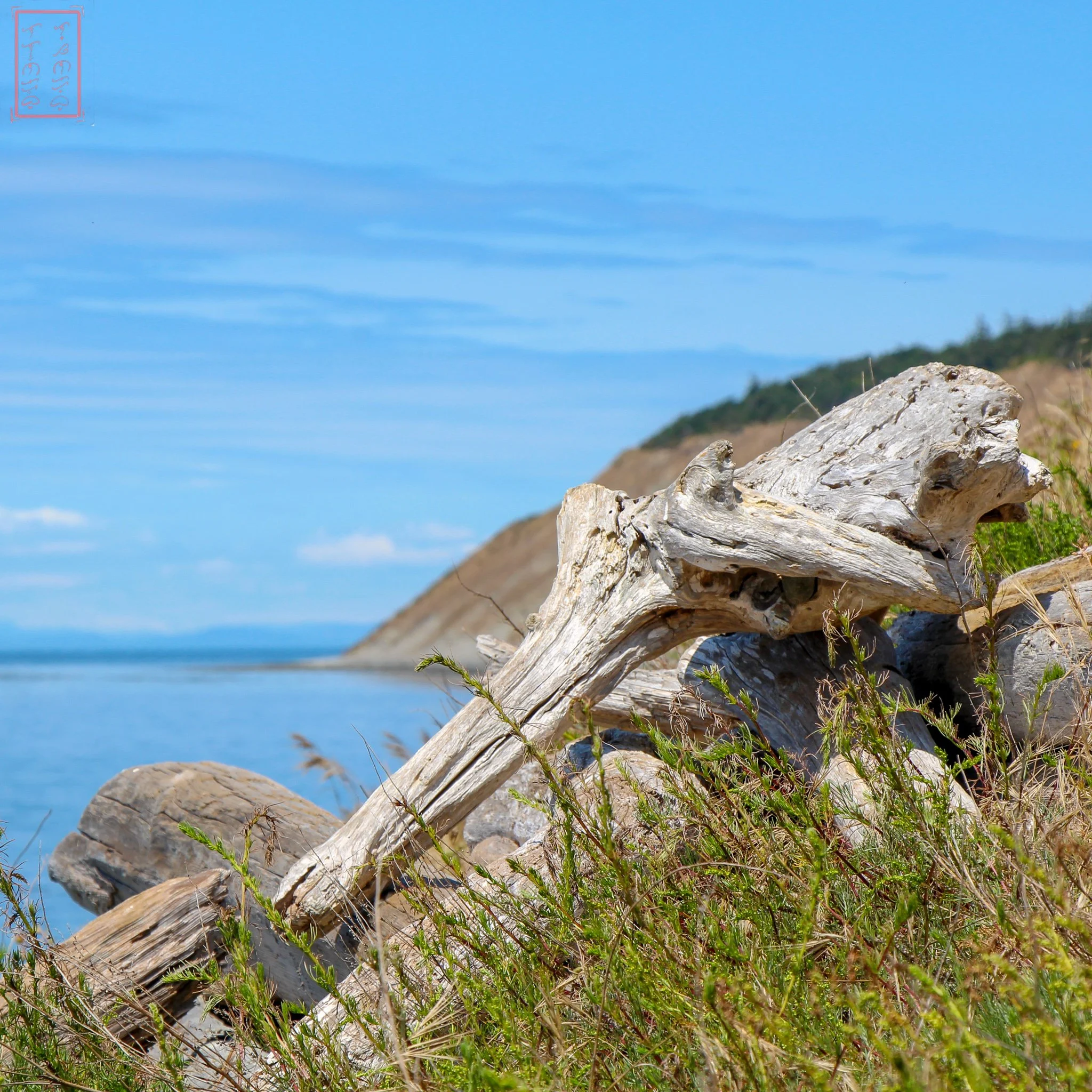 WA: Ebey's Landing