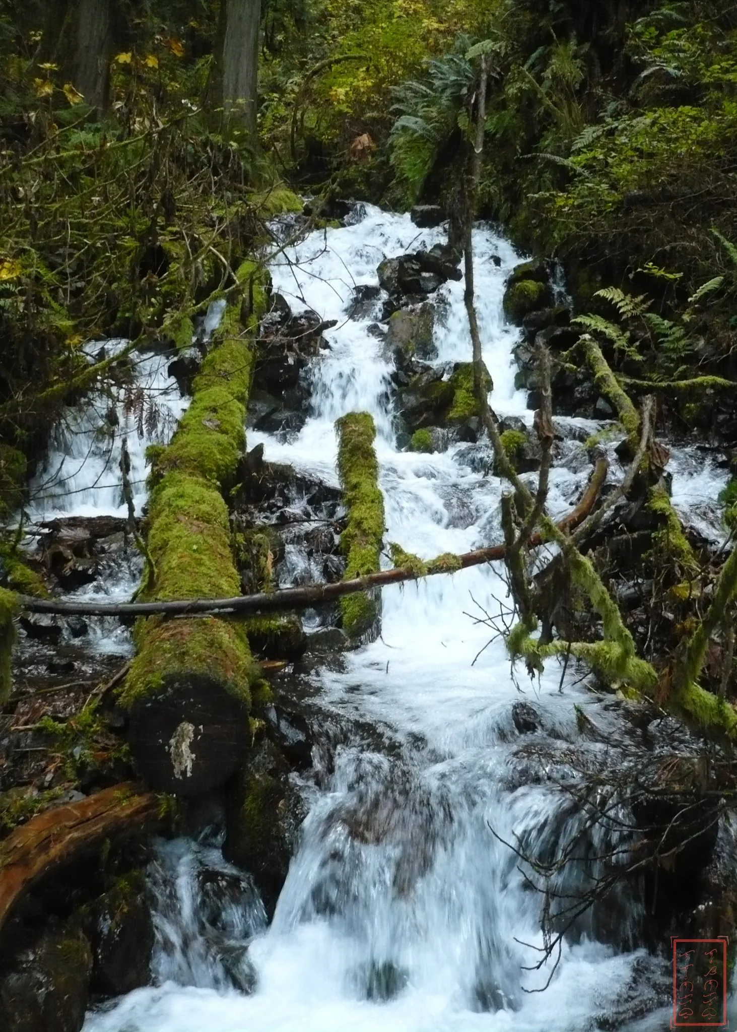 OR: Wahkeena Falls to Multnomah Falls