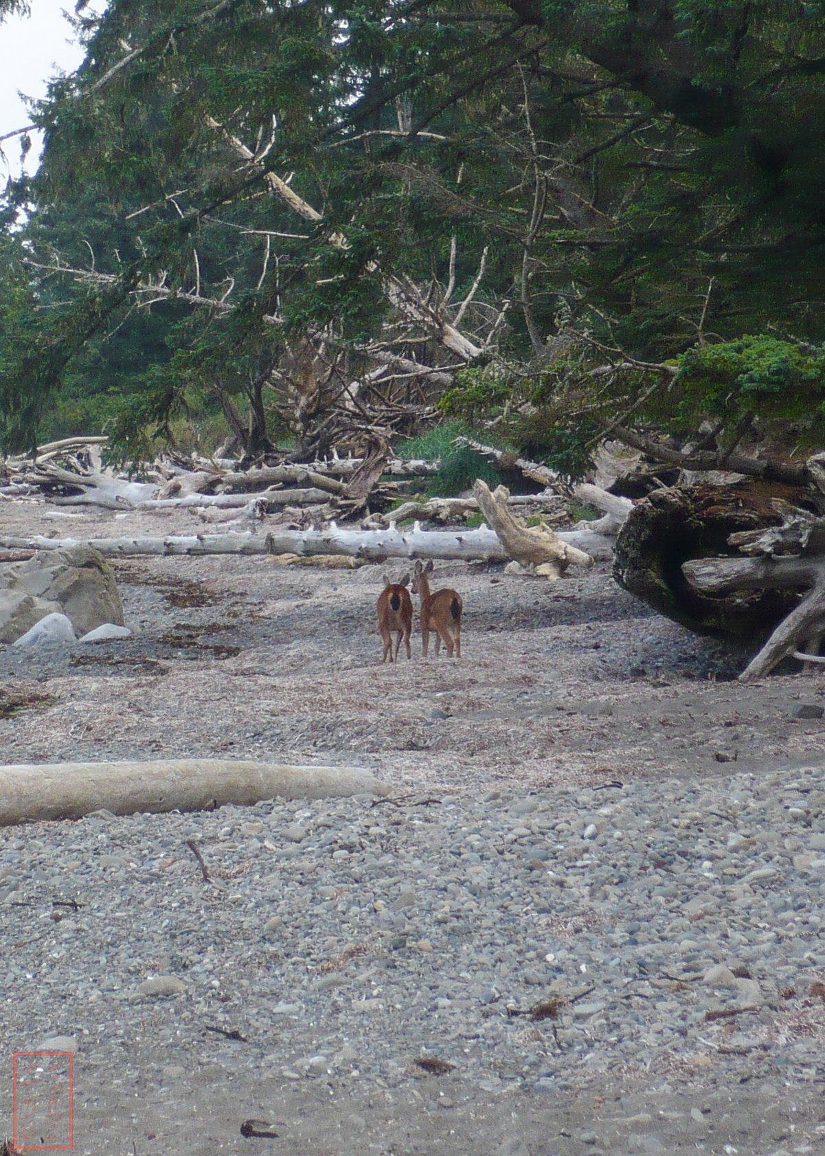 WA: Ozette Triangle