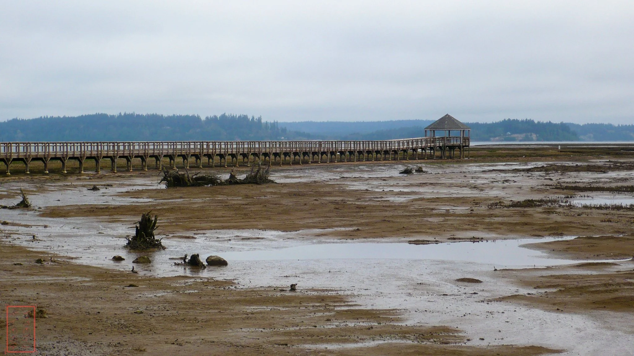 WA: Billy Frank Jr. Nisqually National Wildlife Refuge