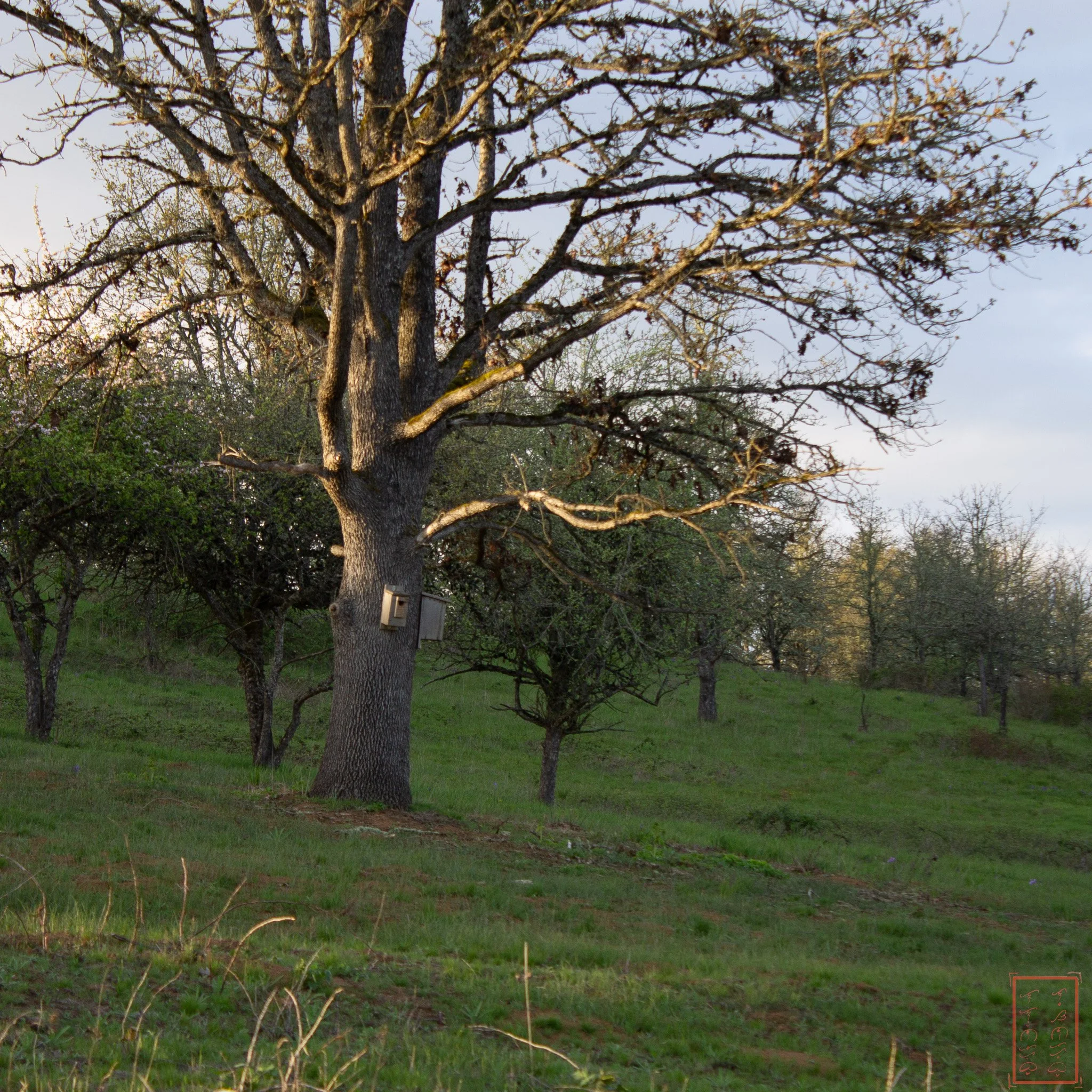 OR: William L. Finley National Wildlife Refuge