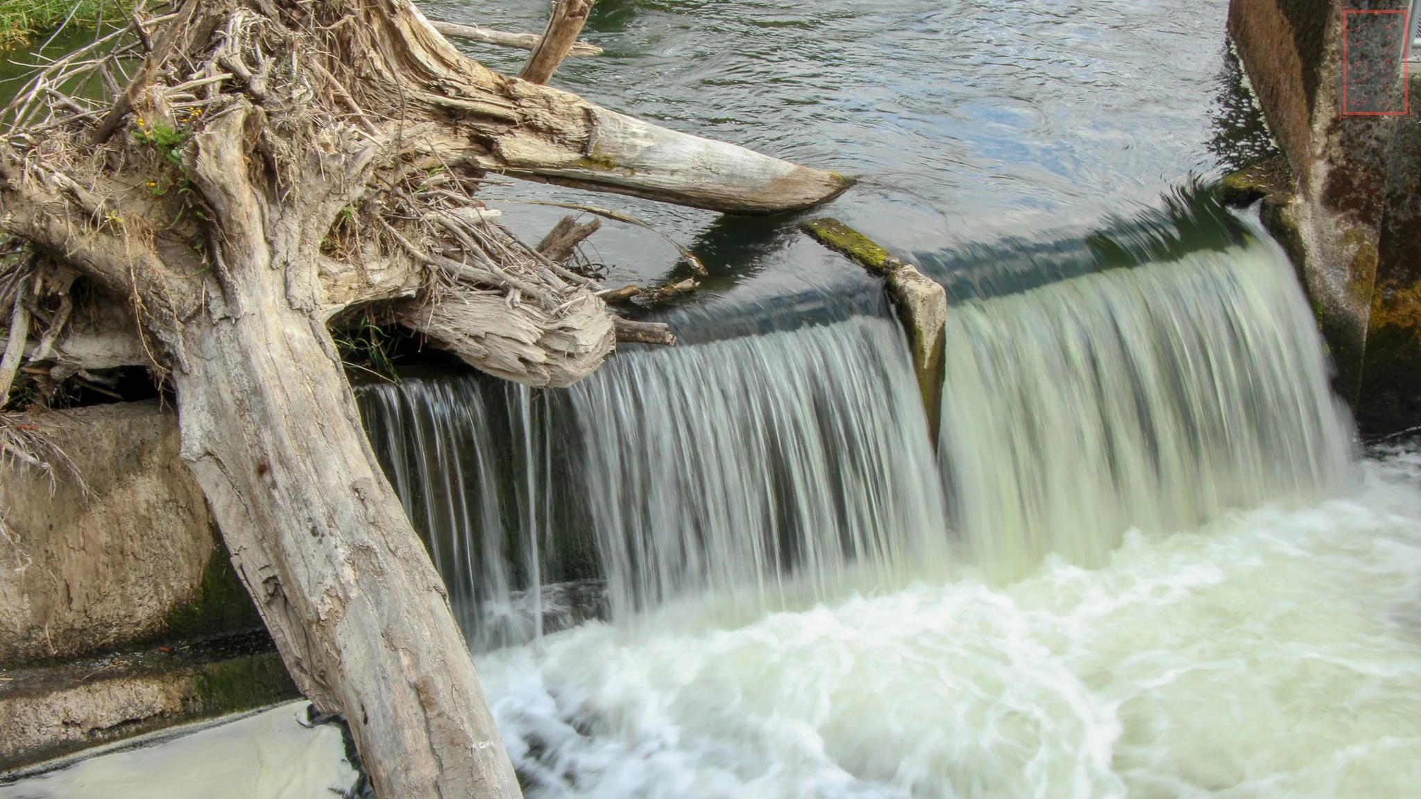 WA: Tumwater Falls
