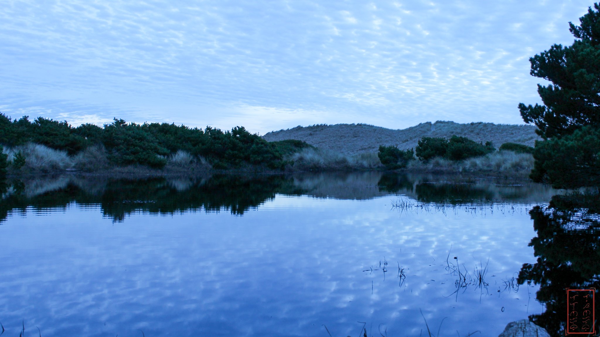 OR: Yaquina Bay