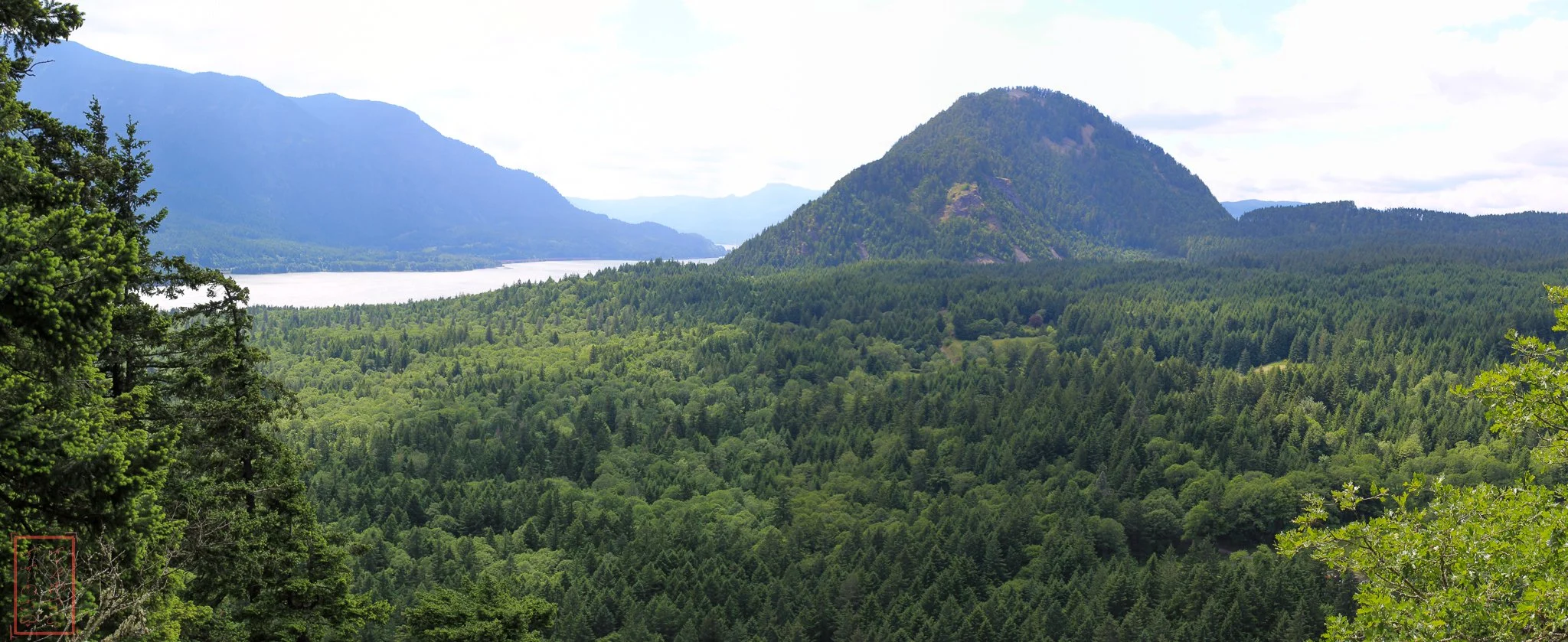 WA: Dog Mountain