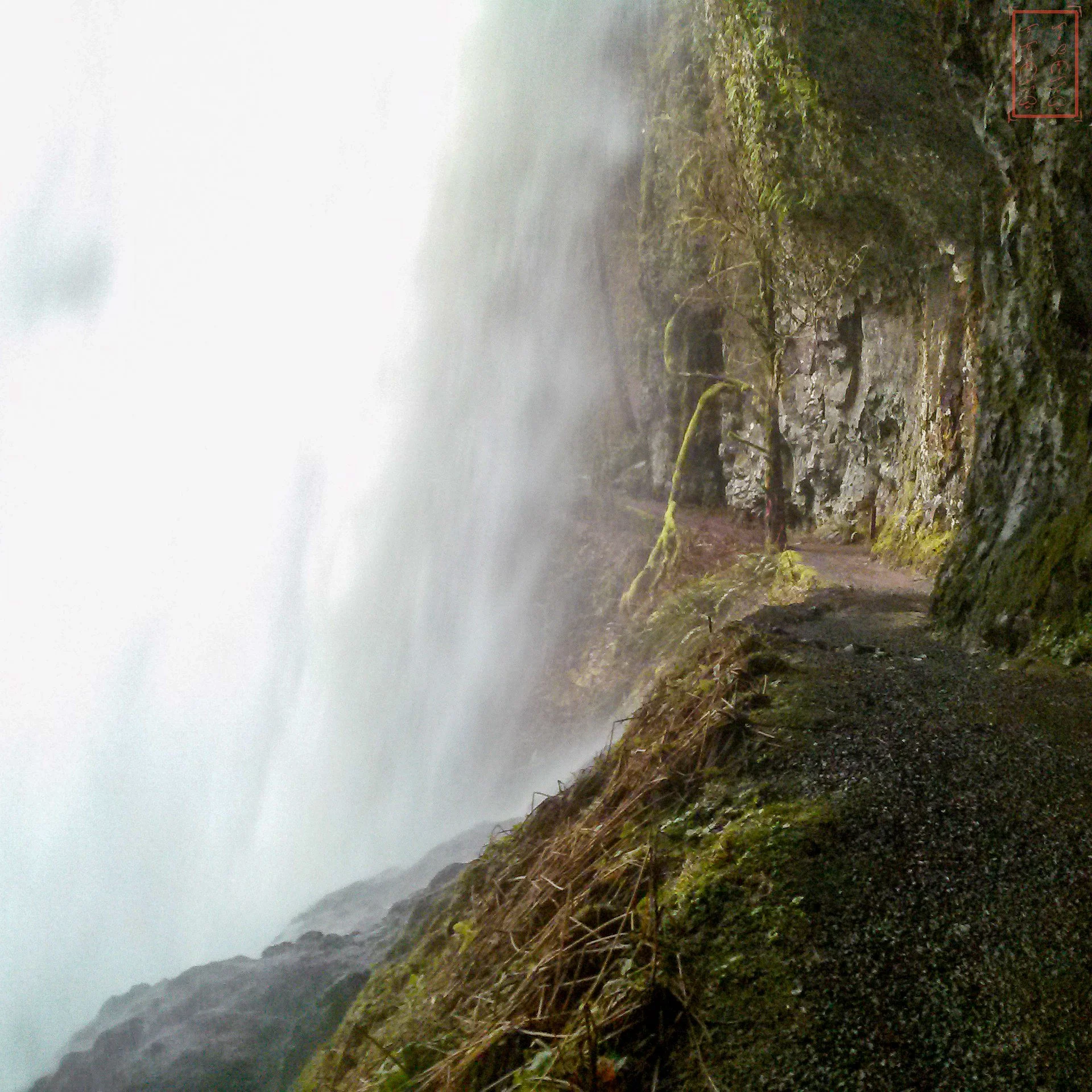 OR: Silver Falls