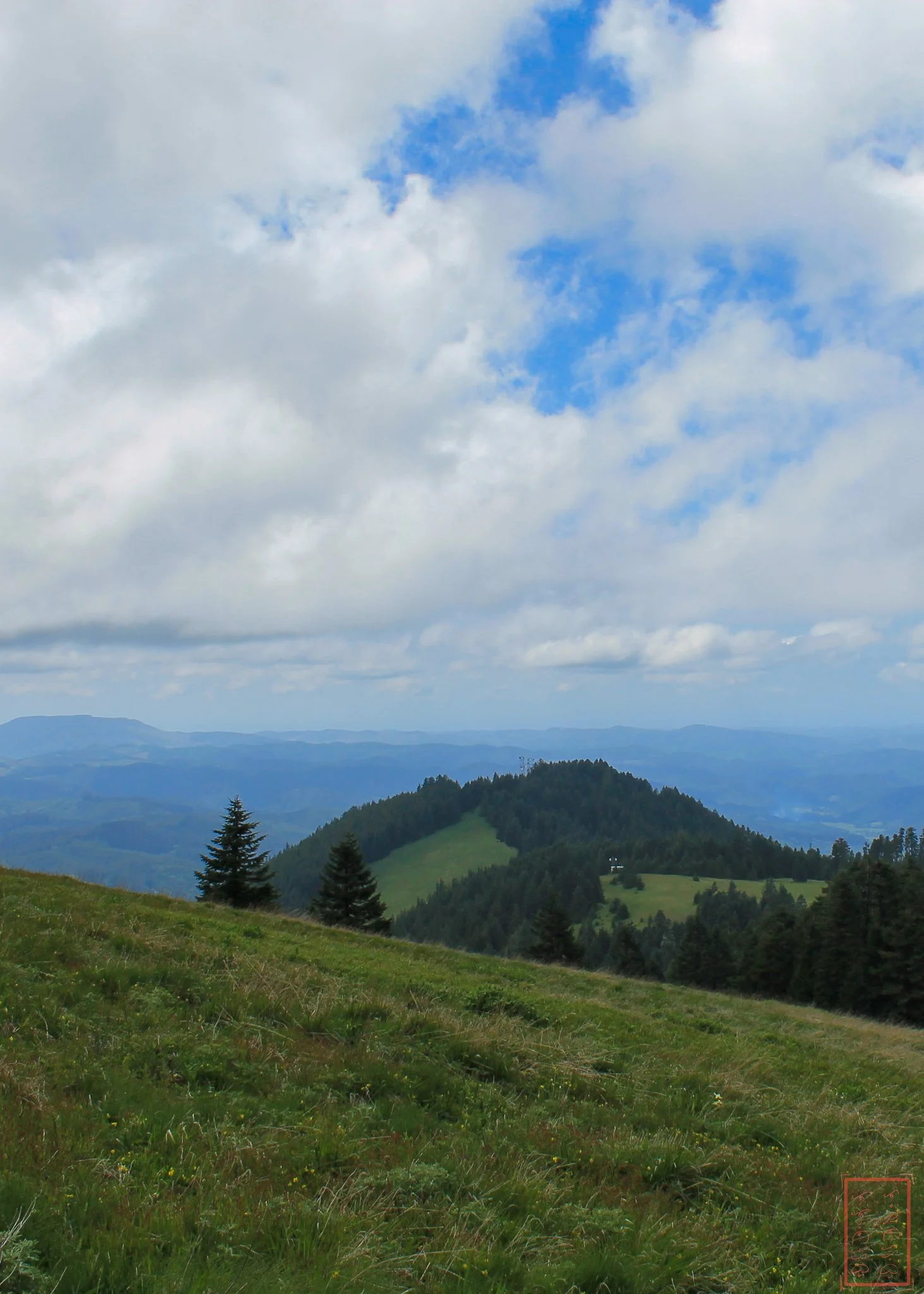 OR: Mary's Peak