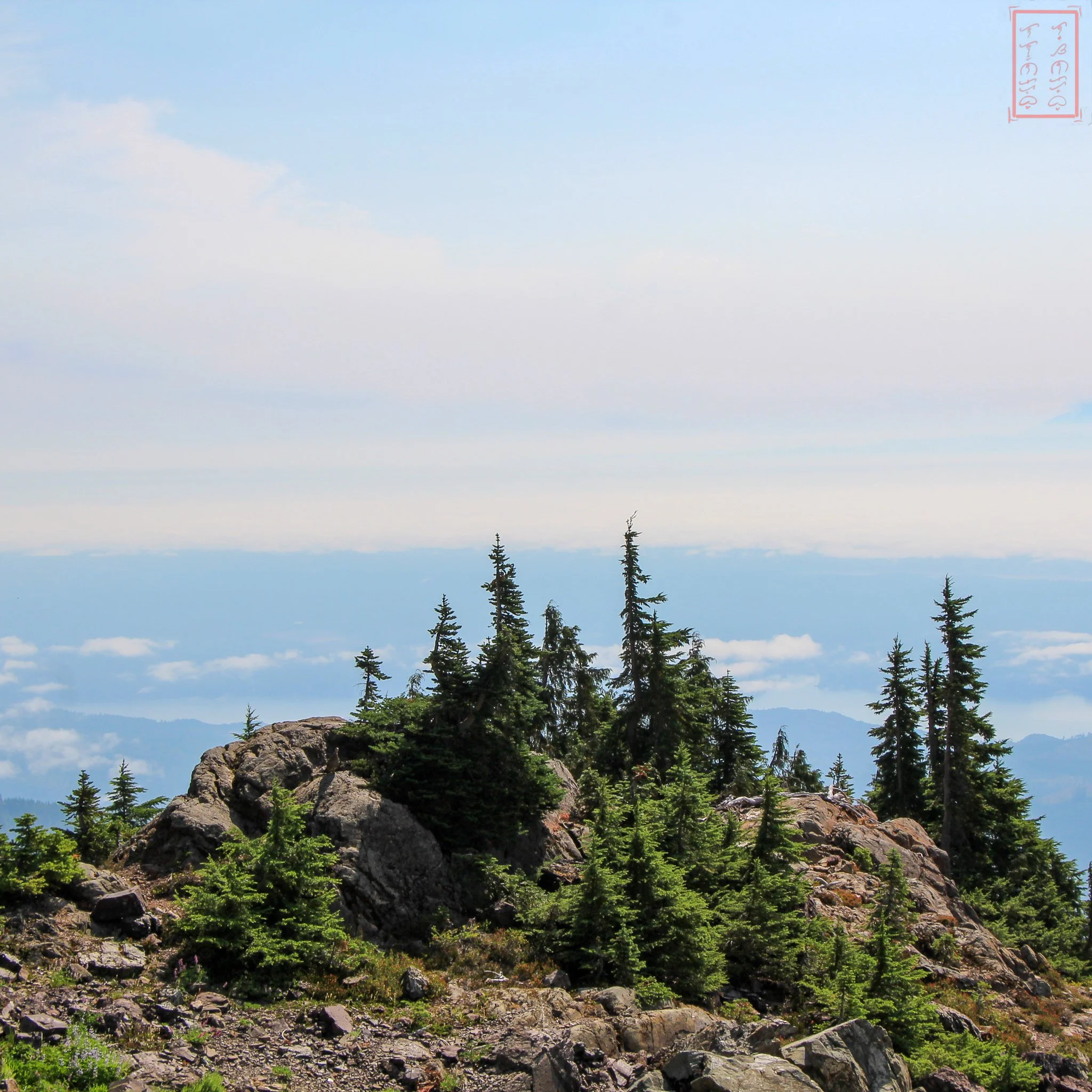 WA: Mount Ellinor