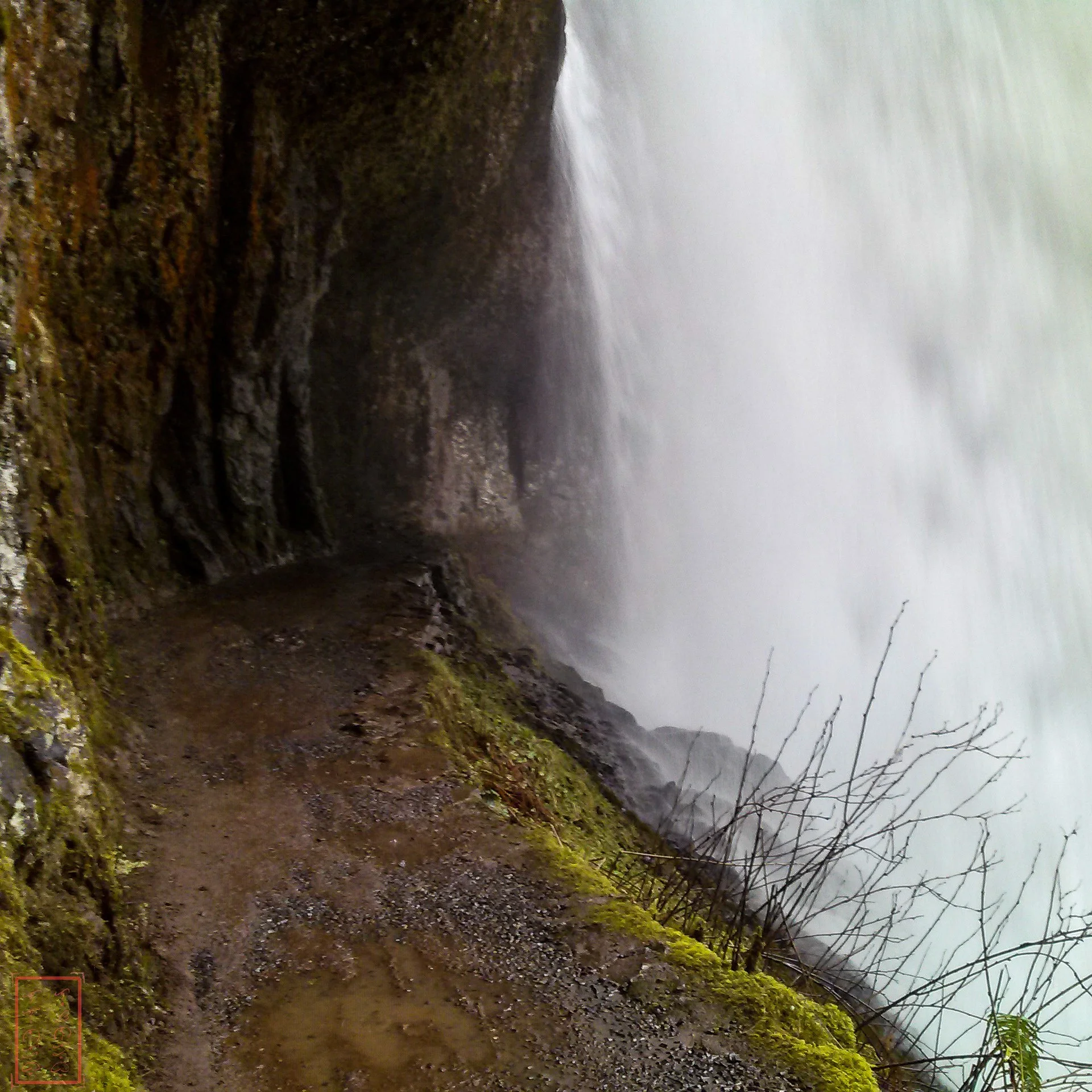 OR: Silver Falls