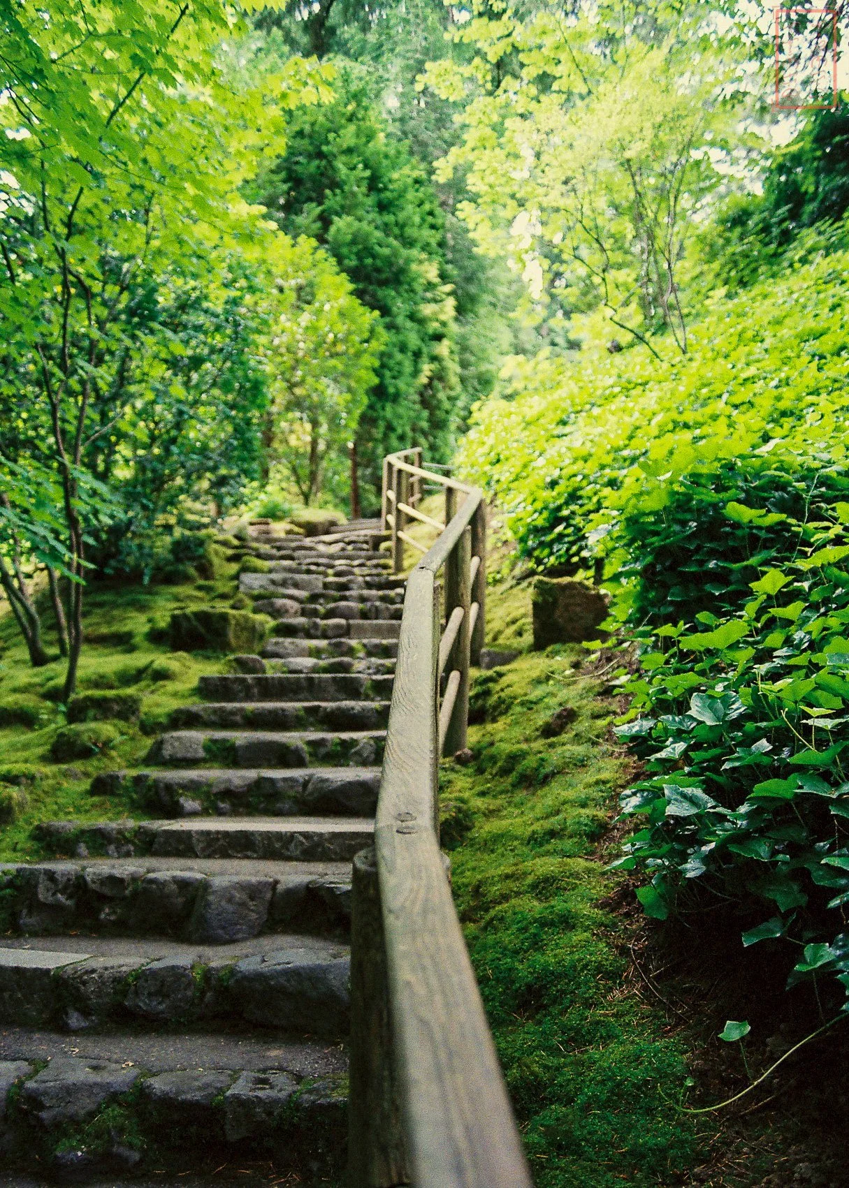 0_Portland_5x7-2.jpg