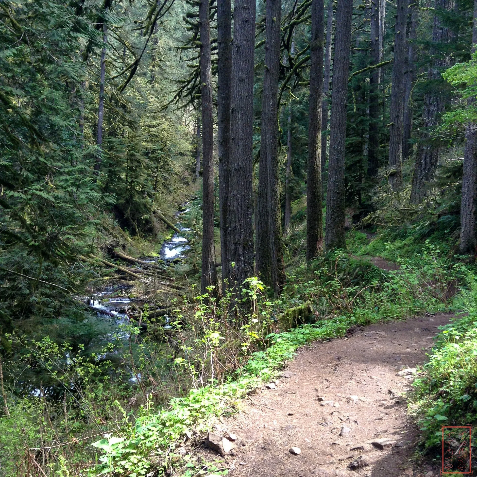 OR: Wahkeena Falls to Multnomah Falls