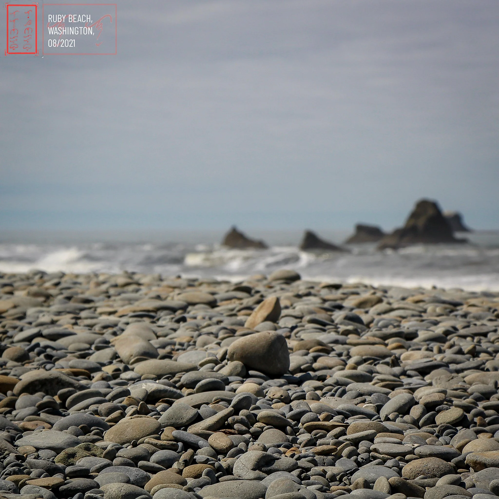 WA: Ruby Beach
