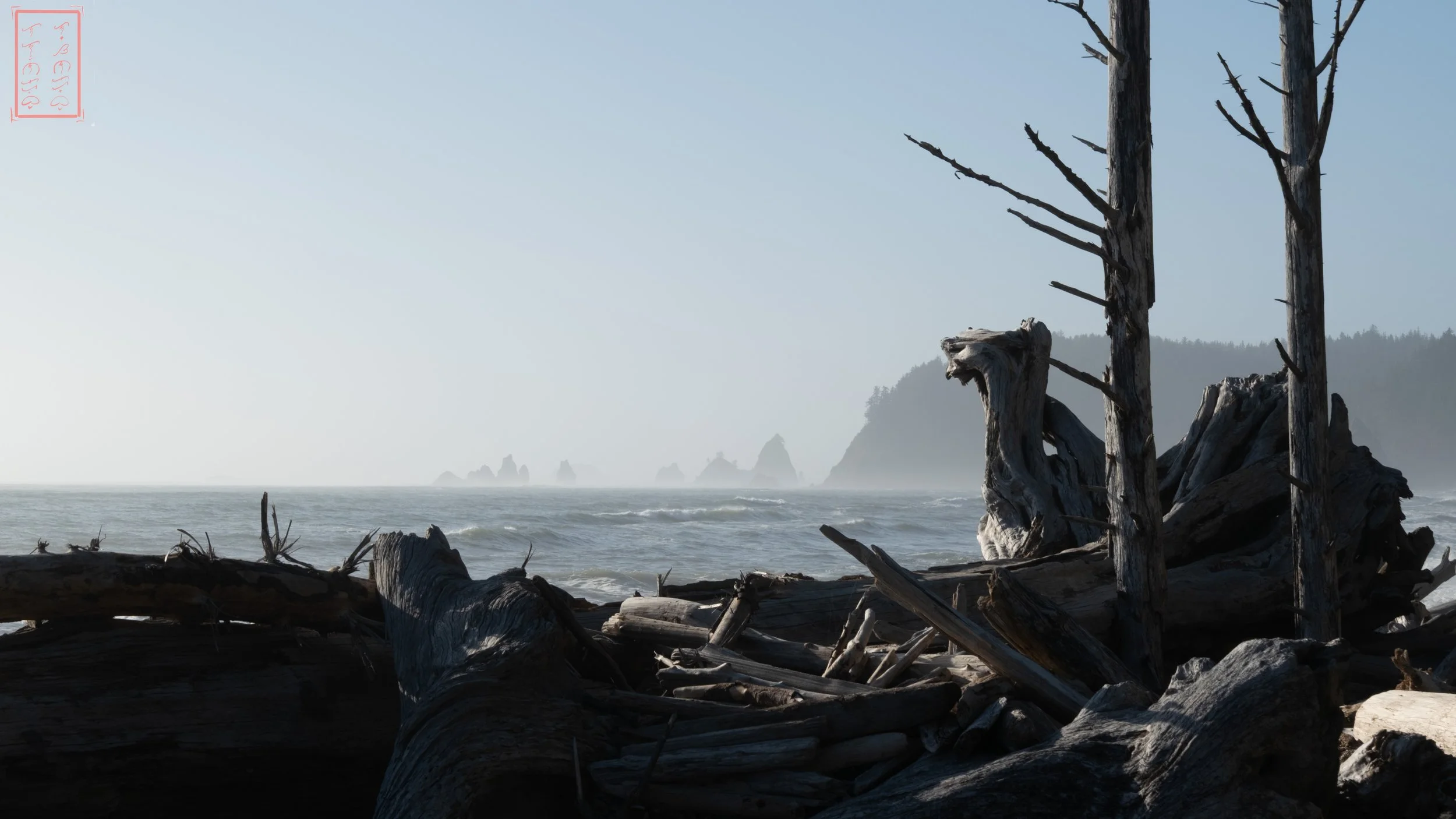 WA: Rialto Beach