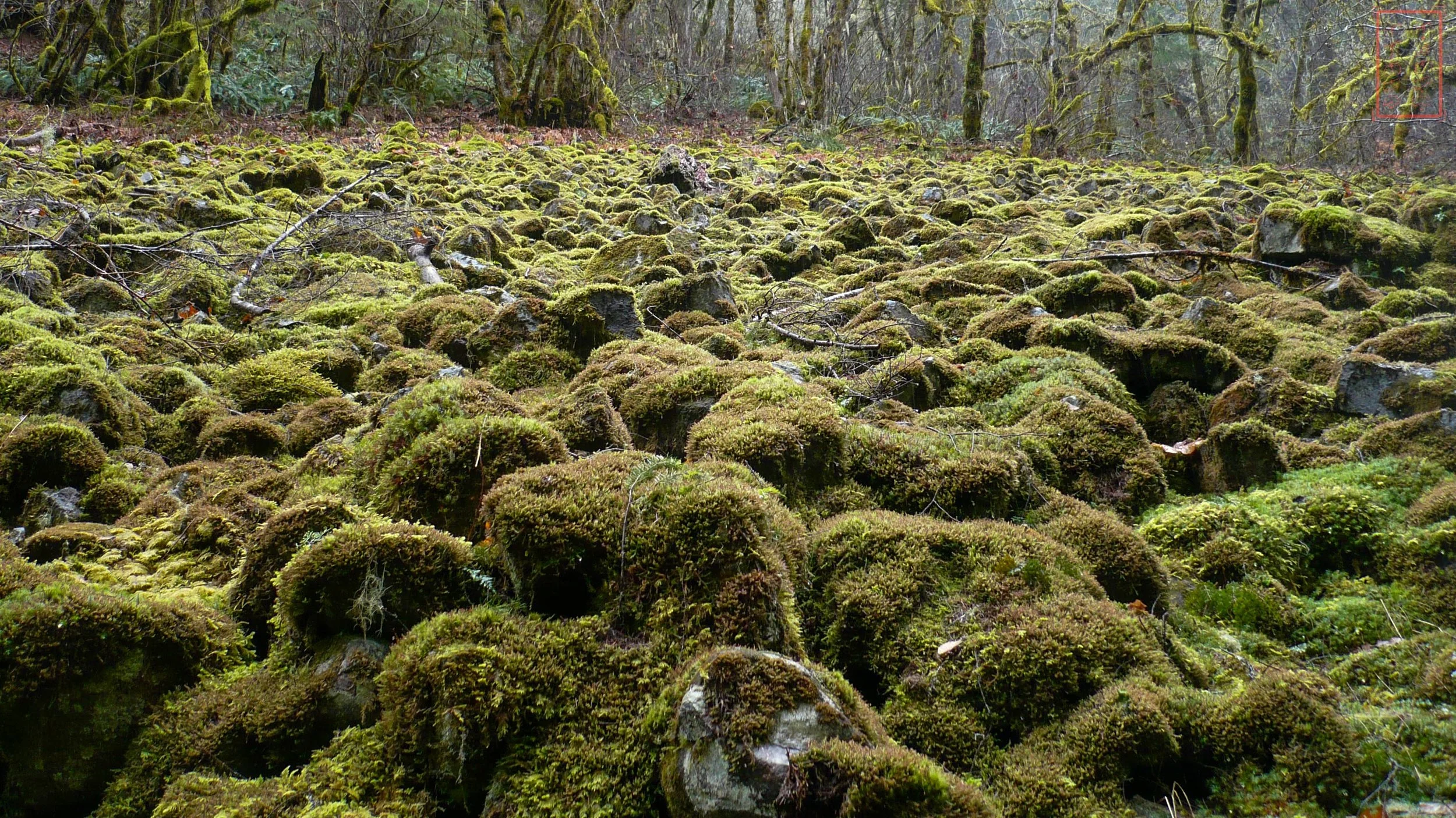 OR: Eagle Creek