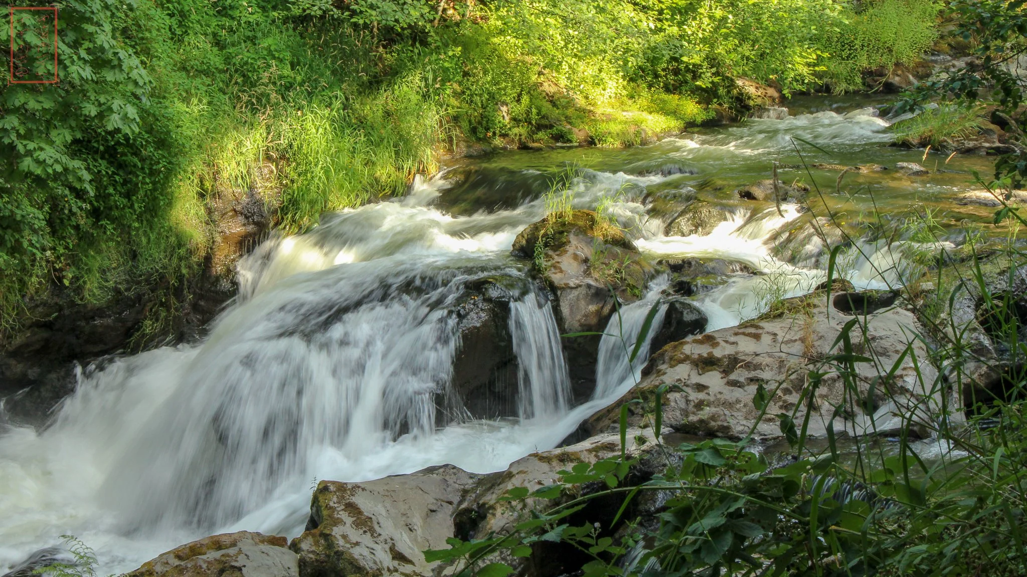 WA: Tumwater Falls