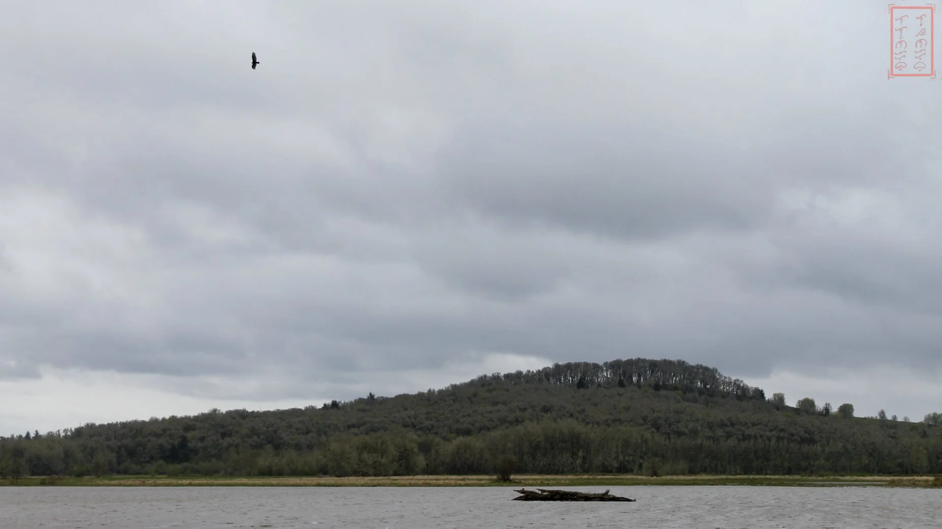OR: William L. Finley National Wildlife Refuge