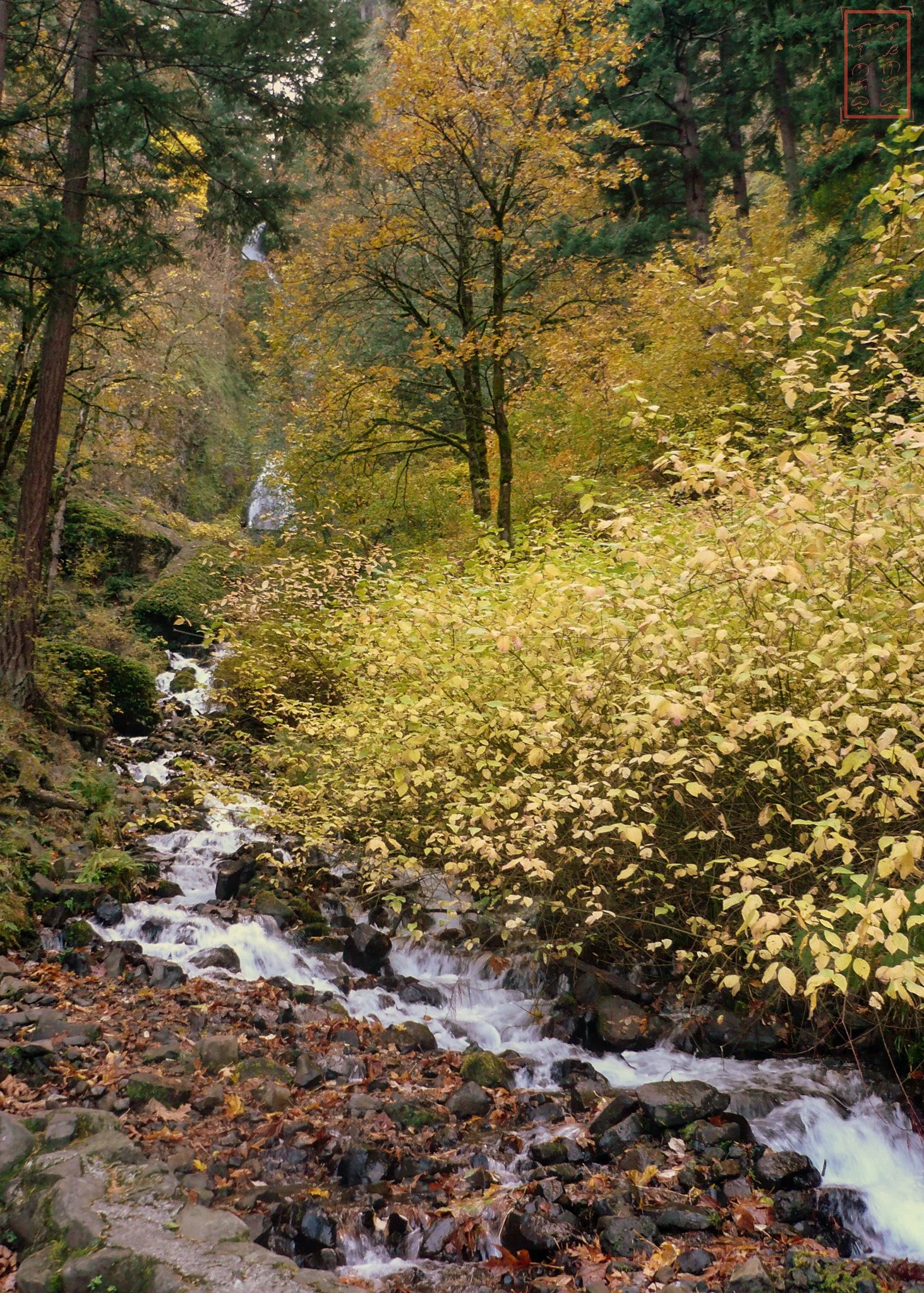 OR: Wahkeena Falls to Multnomah Falls
