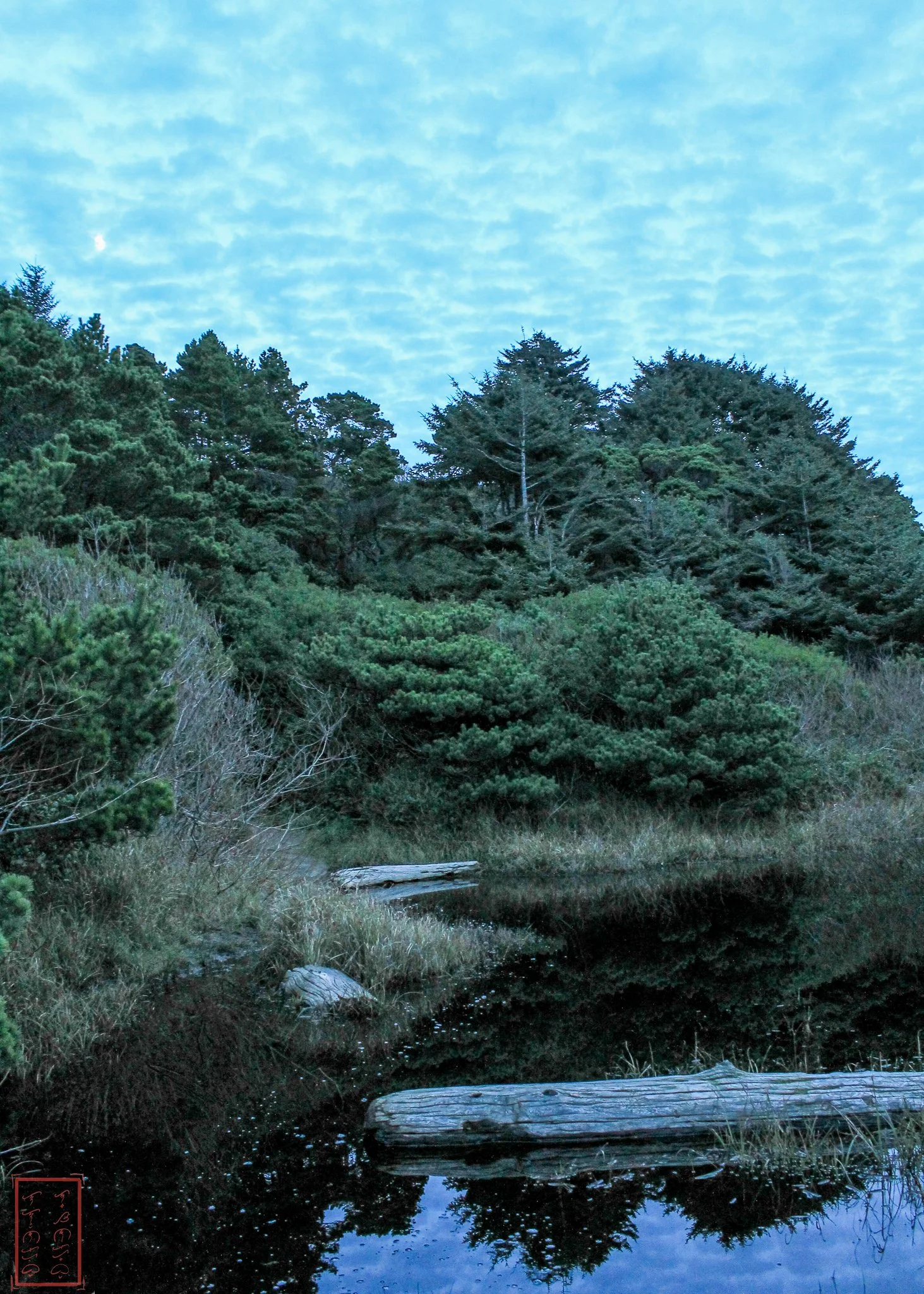 OR: Yaquina Bay