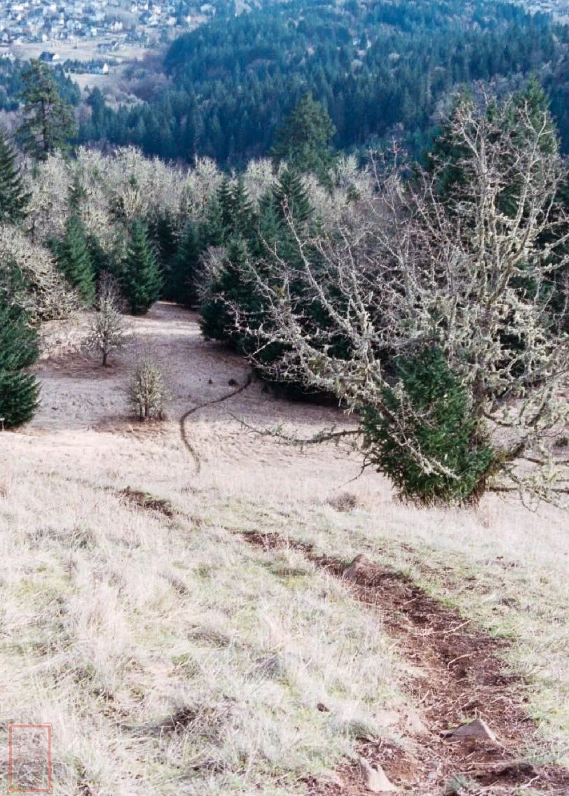 OR: Chip Ross Park and Dimple Hill