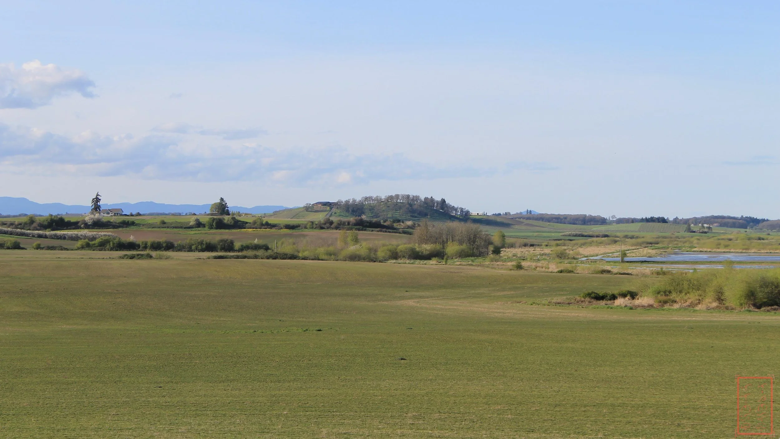 OR: Baskett Slough