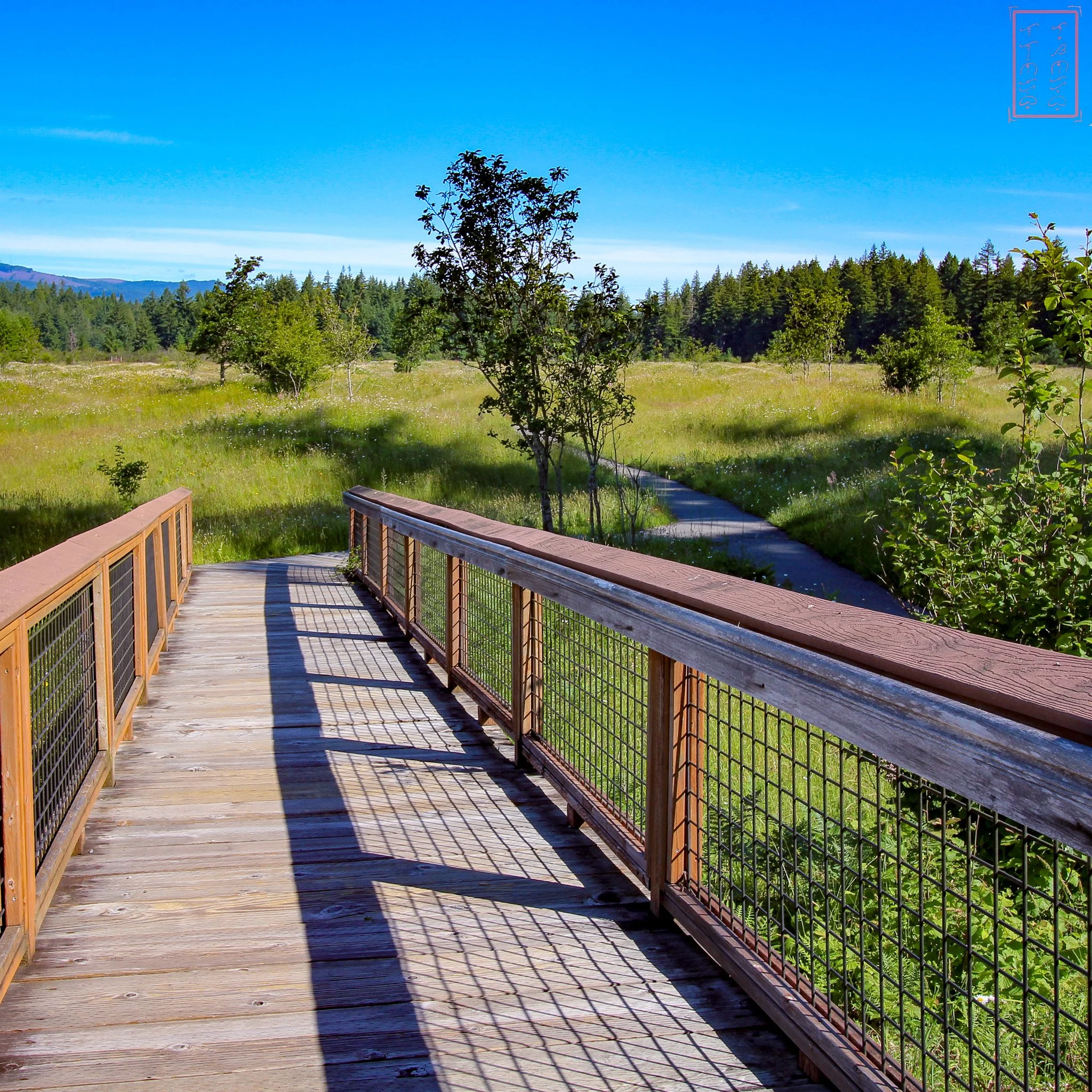 WA: Mima Mounds