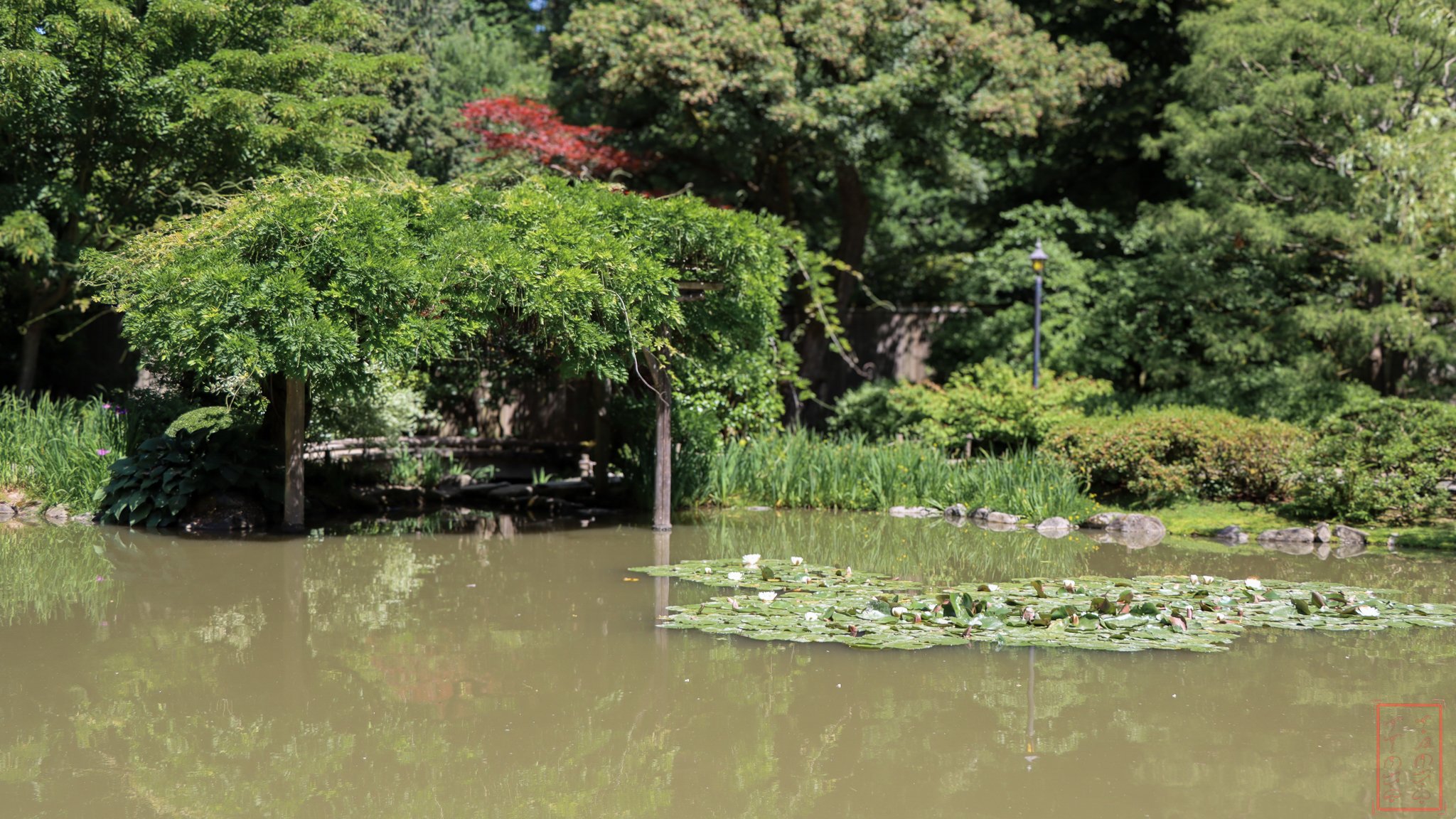 JapaneseGardens_16x9-3.jpg