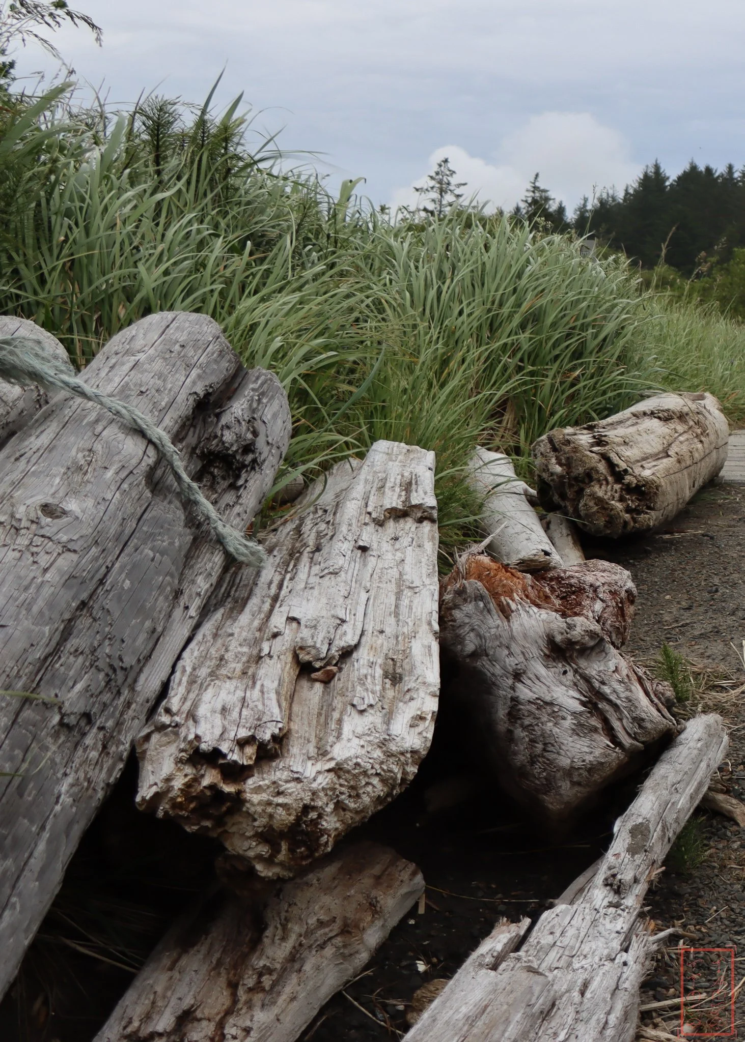 WA: Cape Disappointment