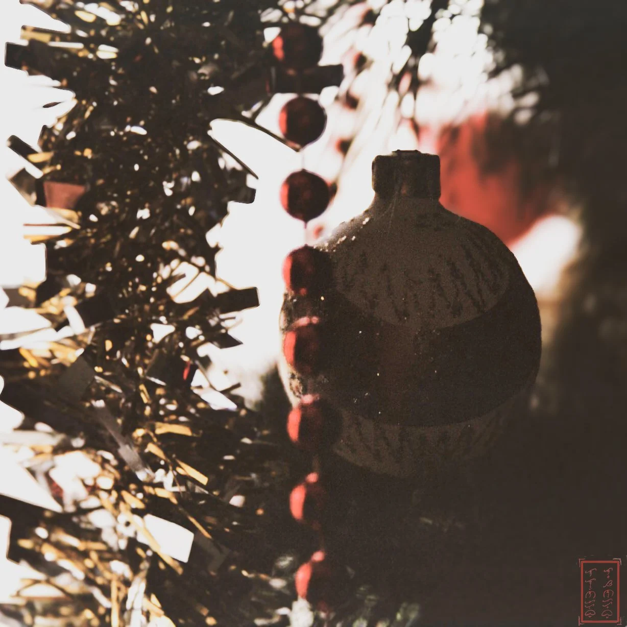 Nikon_1x1_Ornament-1.jpg
