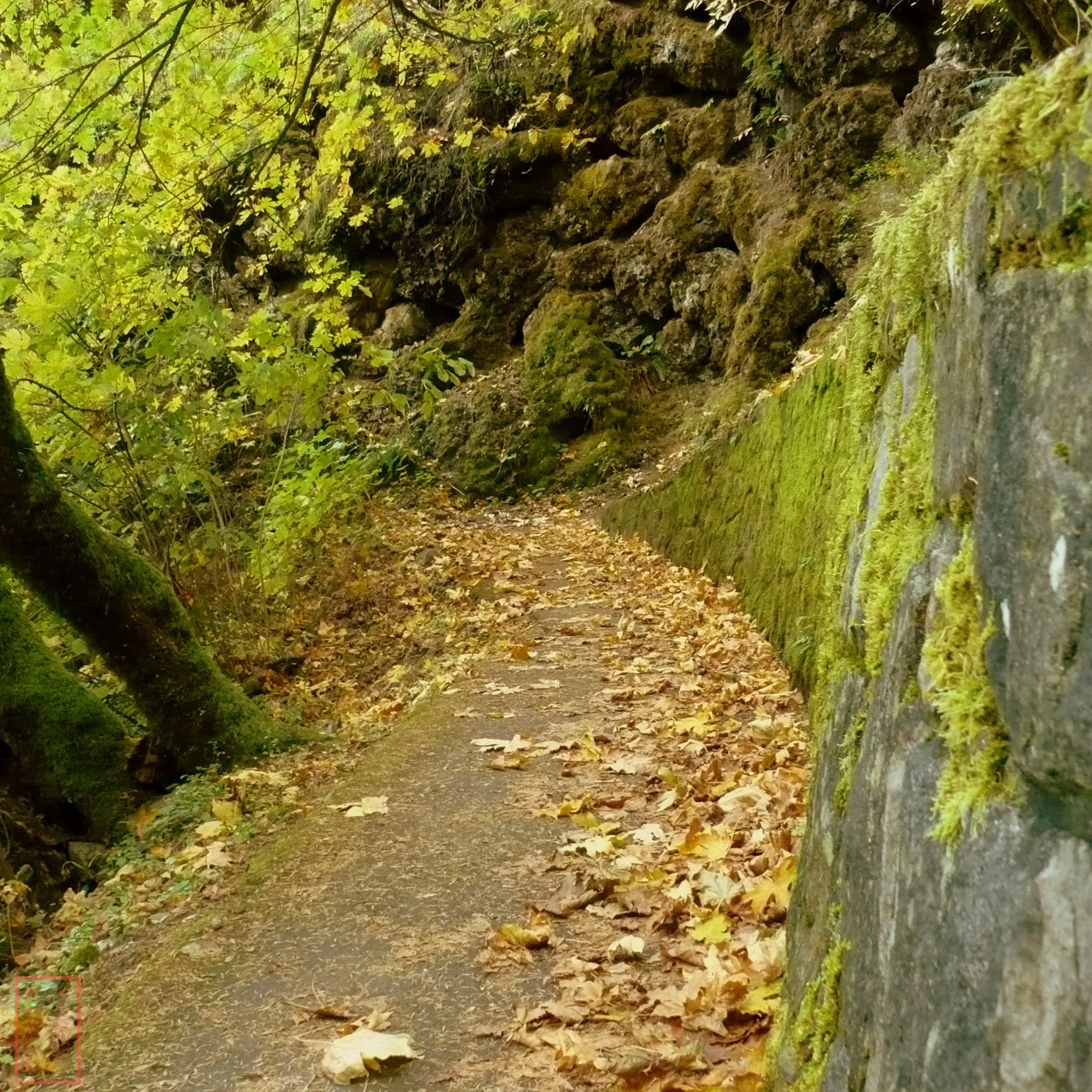 OR: Wahkeena Falls to Multnomah Falls
