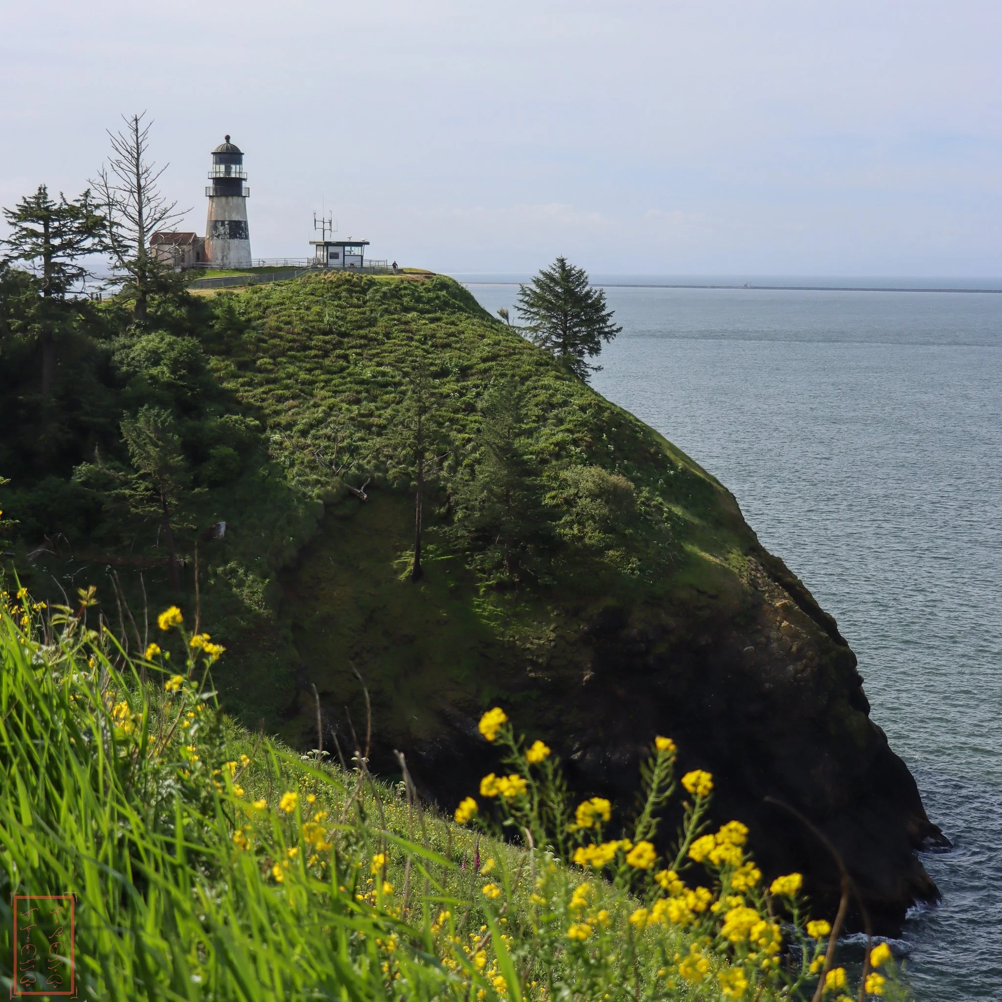 WA: Cape Disappointment
