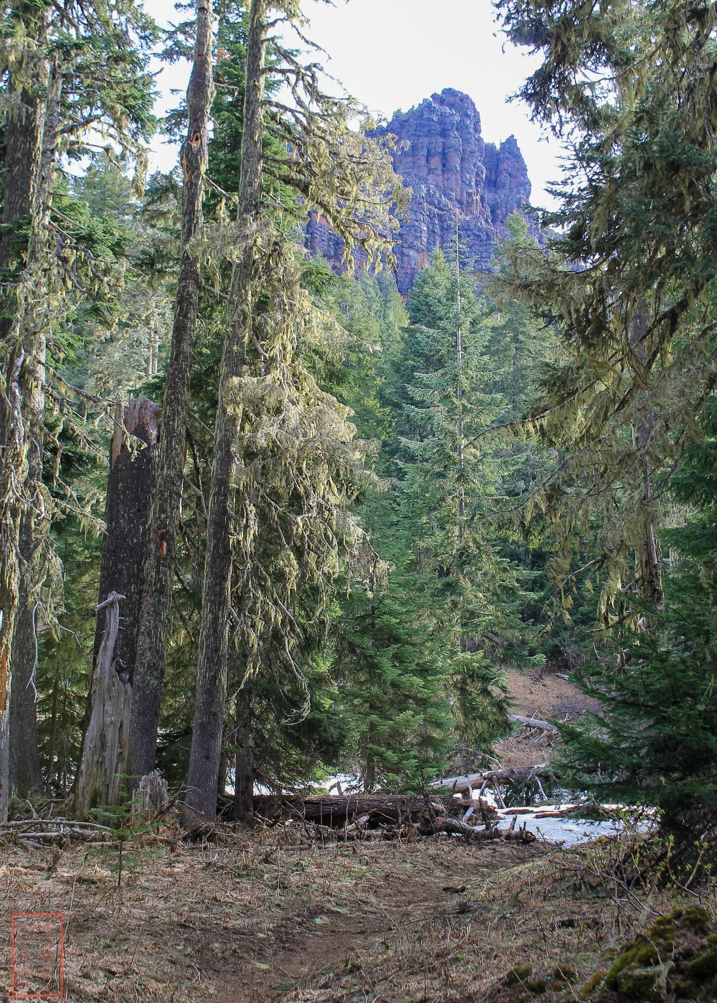 OR: Iron Mountain