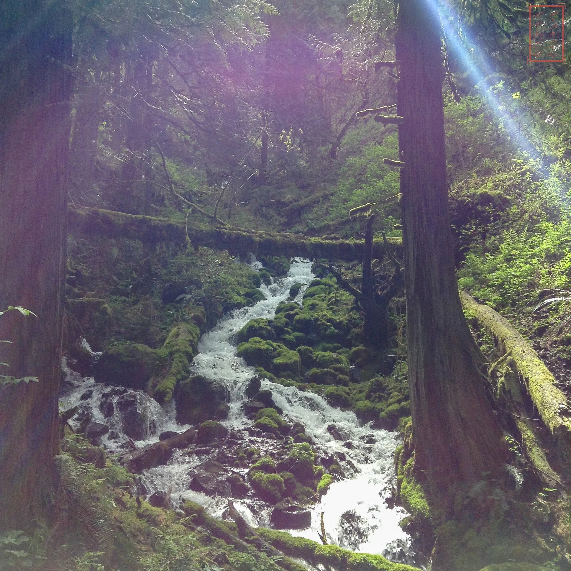 OR: Wahkeena Falls to Multnomah Falls