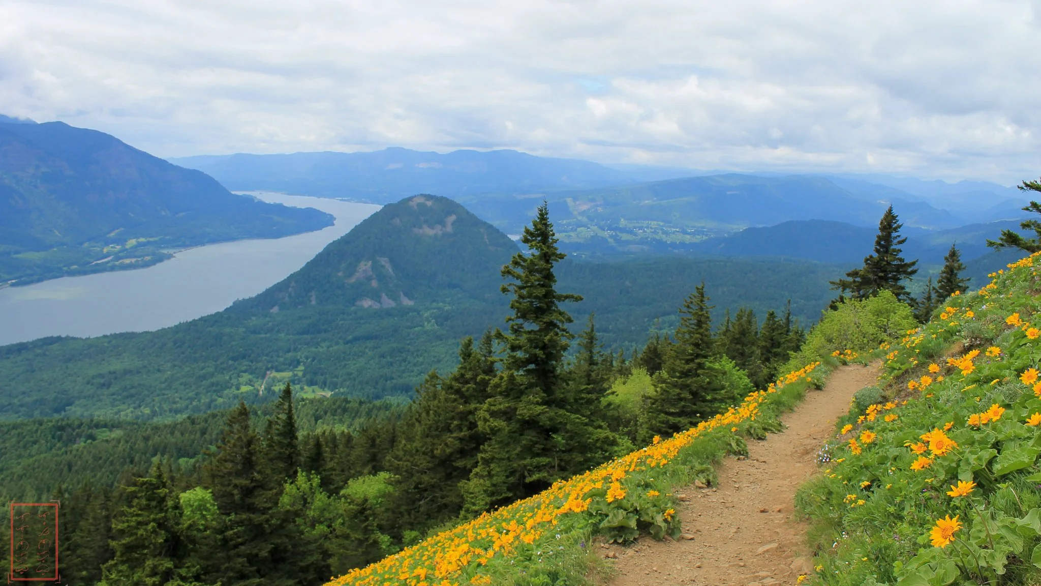 WA: Dog Mountain
