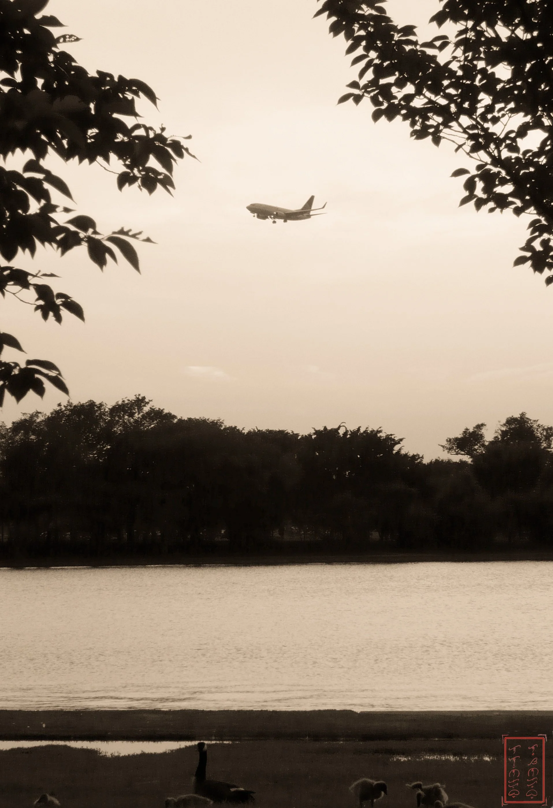 2009: 17.4 mm, 1/250 sec, f/5.0, ISO 100