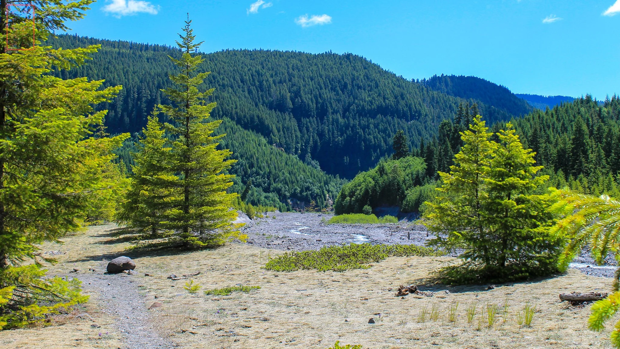 WA: Lava Canyon
