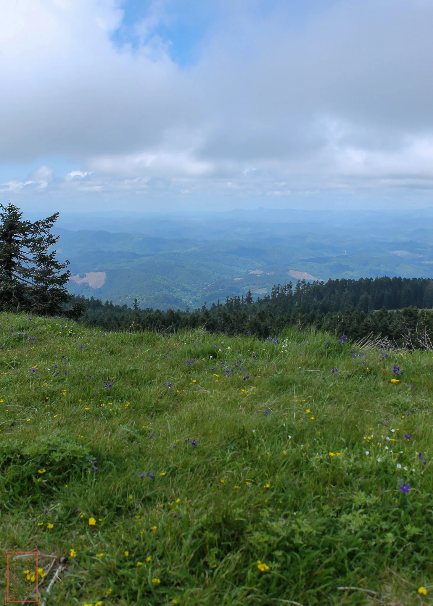 OR: Mary's Peak